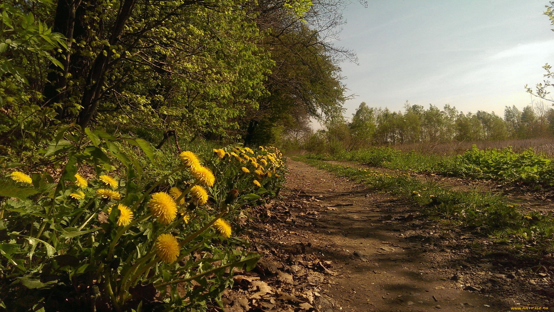 природа, дороги, тракт