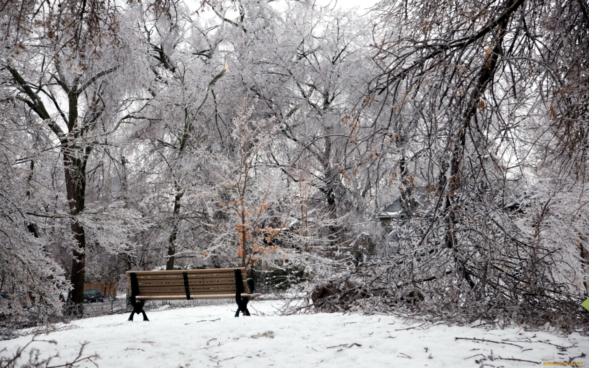 природа, зима, парк, снег, скамейка