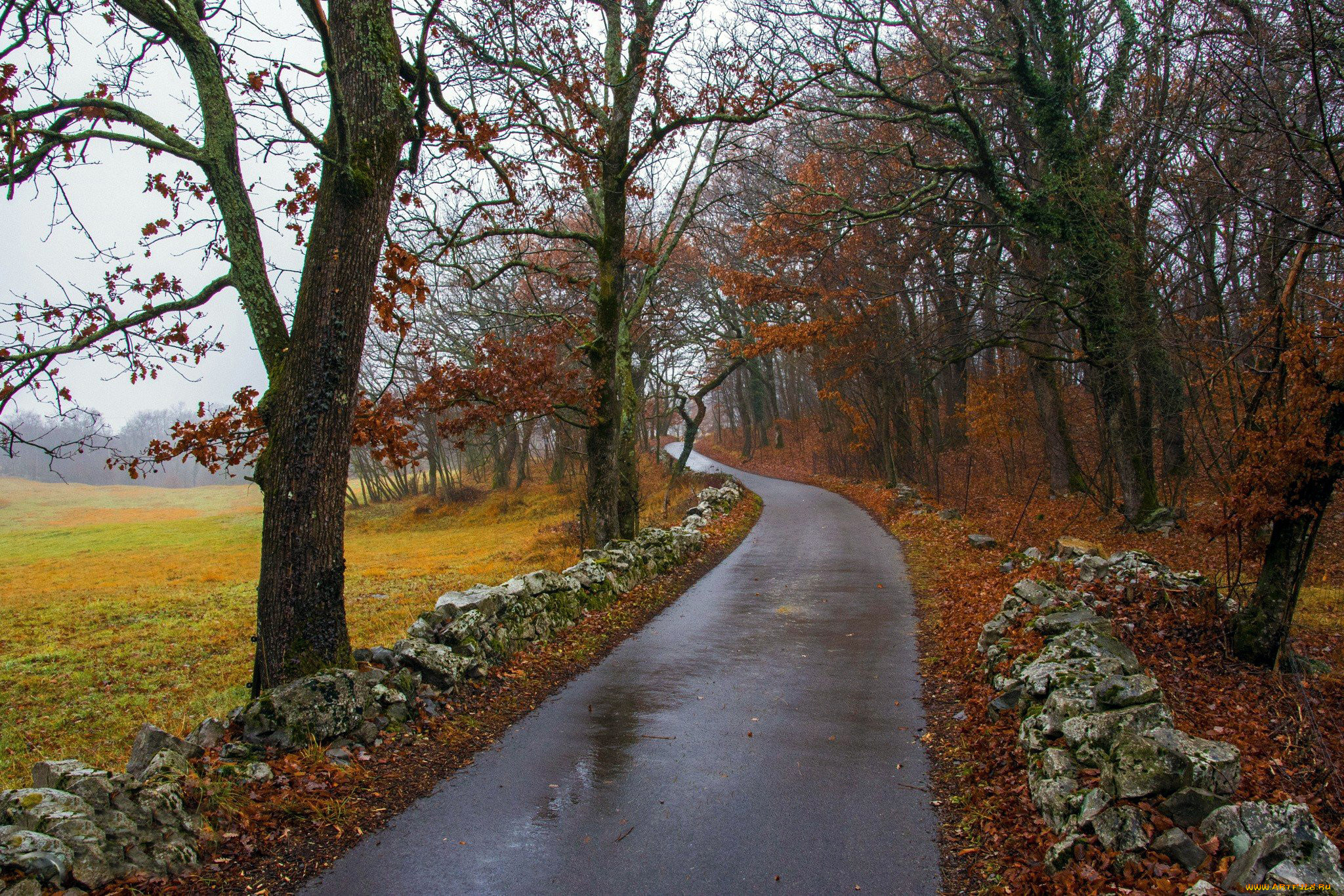 природа, дороги, осень, дорога, дождь