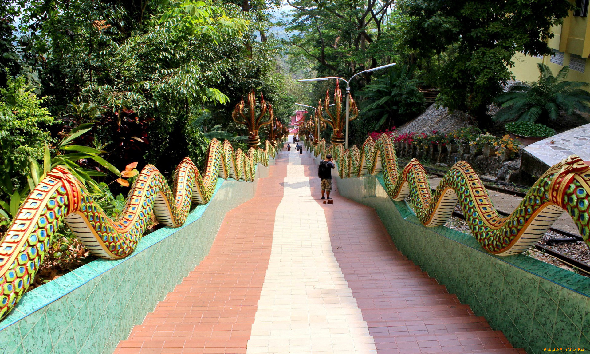 thailand, природа, парк