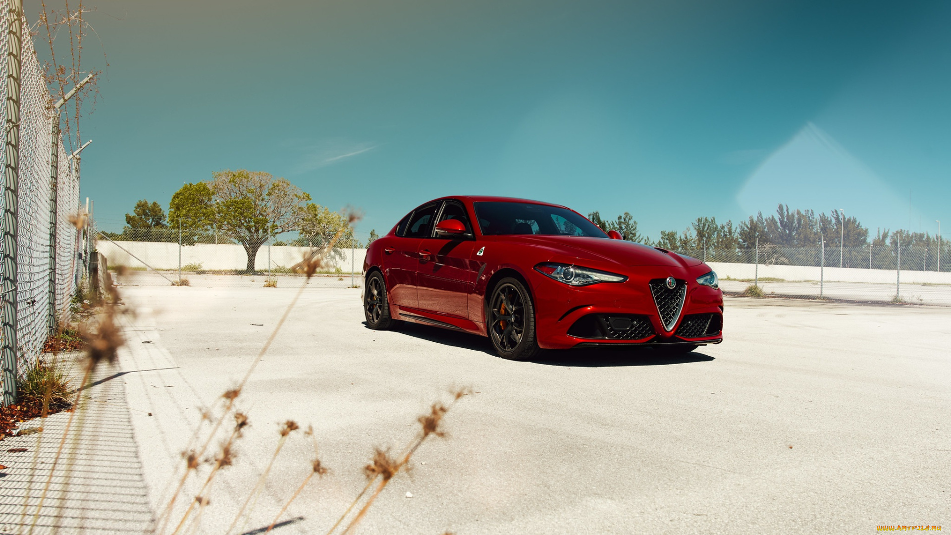 автомобили, alfa, romeo, red, quadrifoglio, giulia