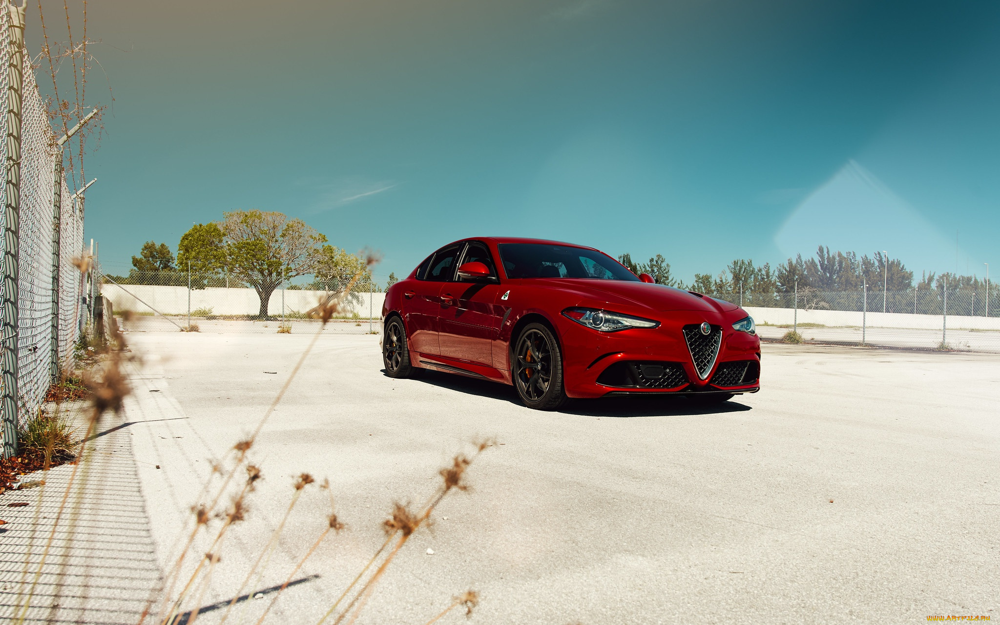 автомобили, alfa, romeo, red, quadrifoglio, giulia