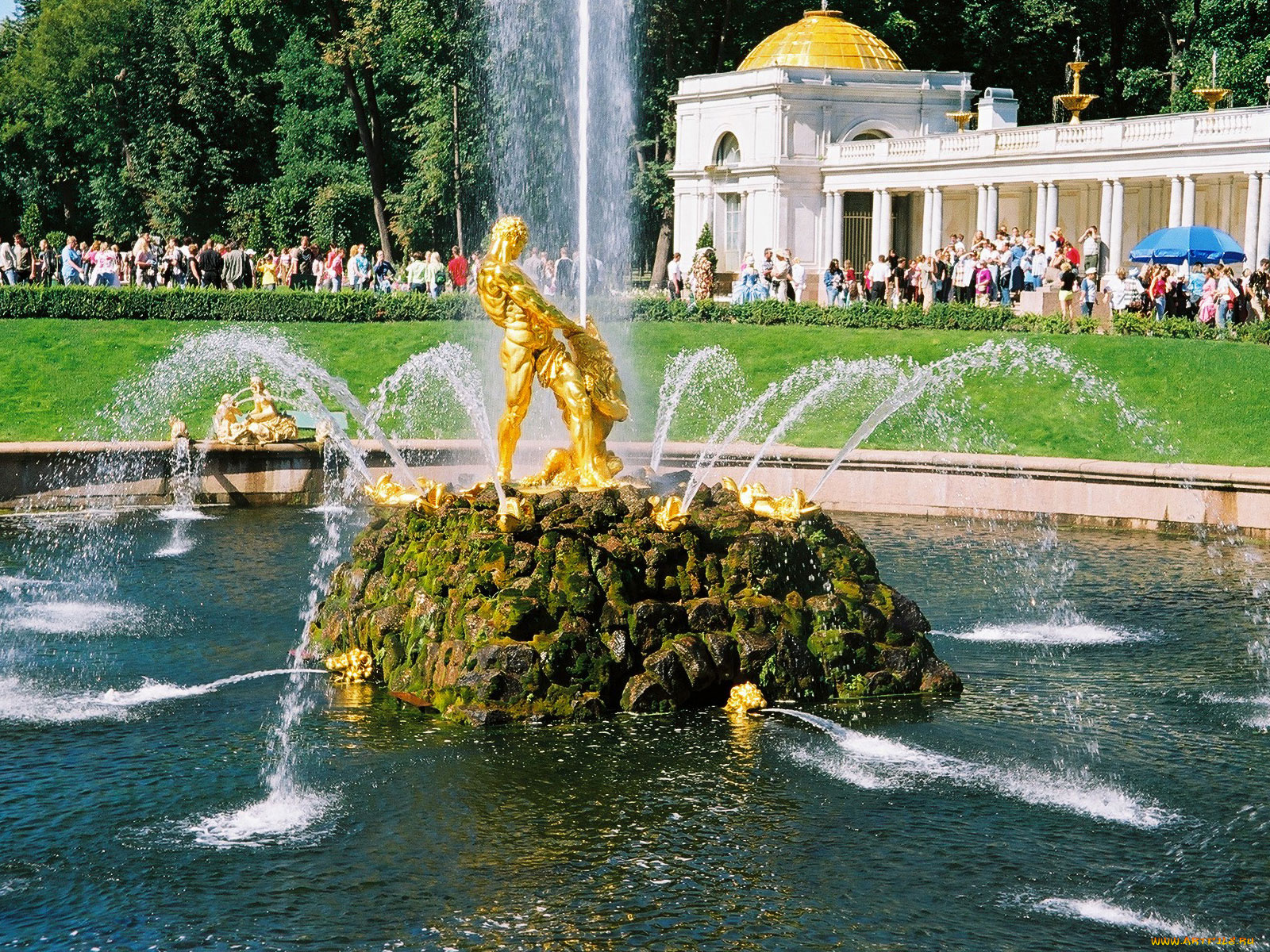 питер, города, санкт, петербург, петергоф, россия