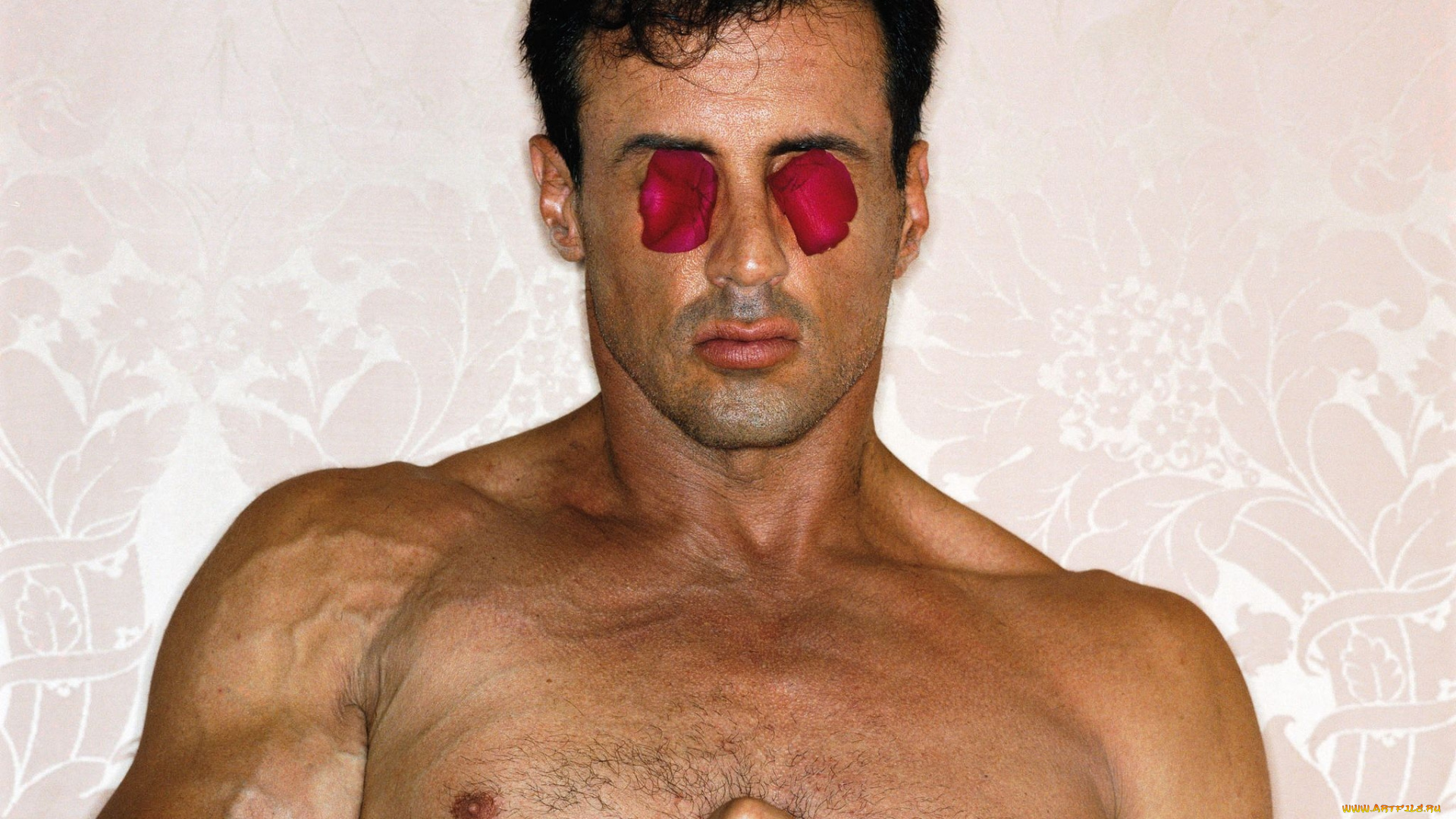 мужчины, sylvester, stallone