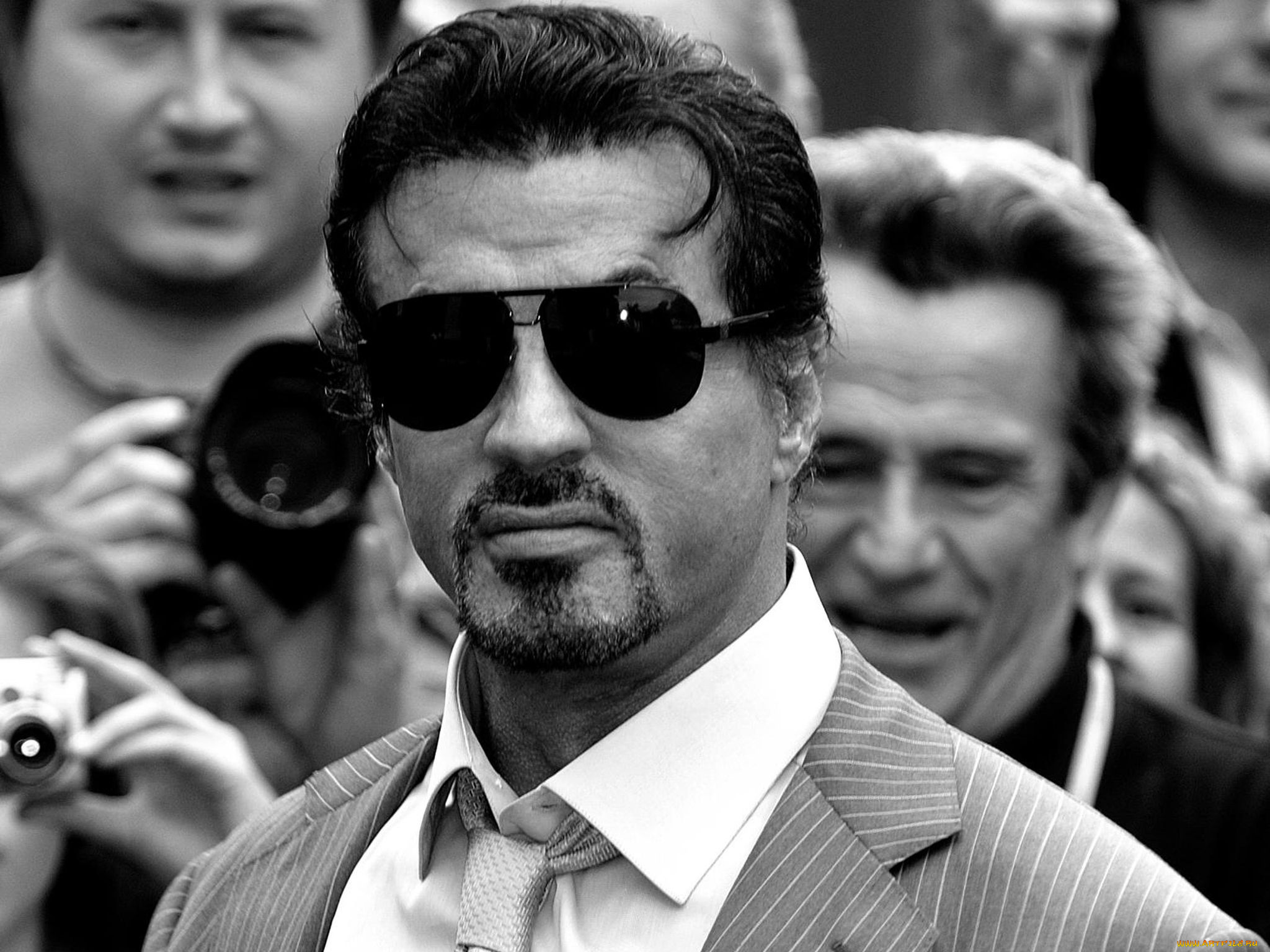 мужчины, sylvester, stallone