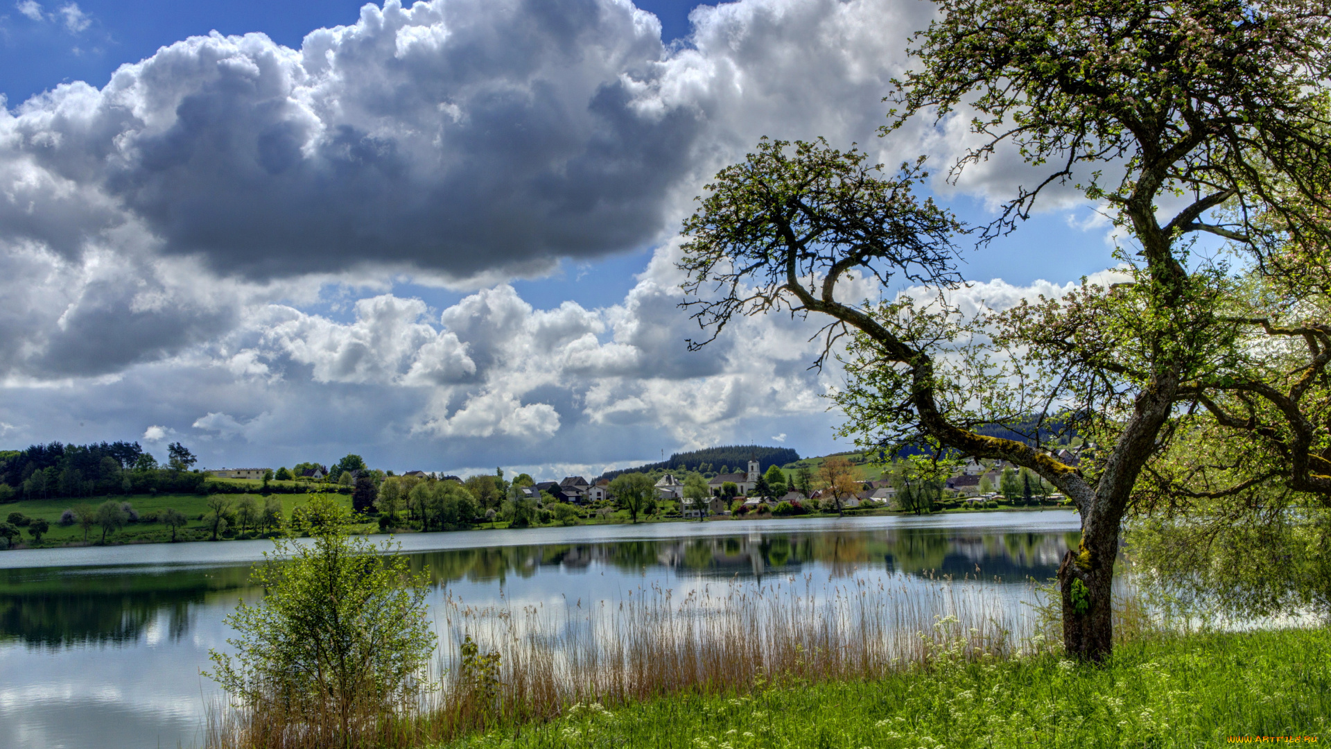 германия, эльшайд, природа, реки, озера, река, облака, берег