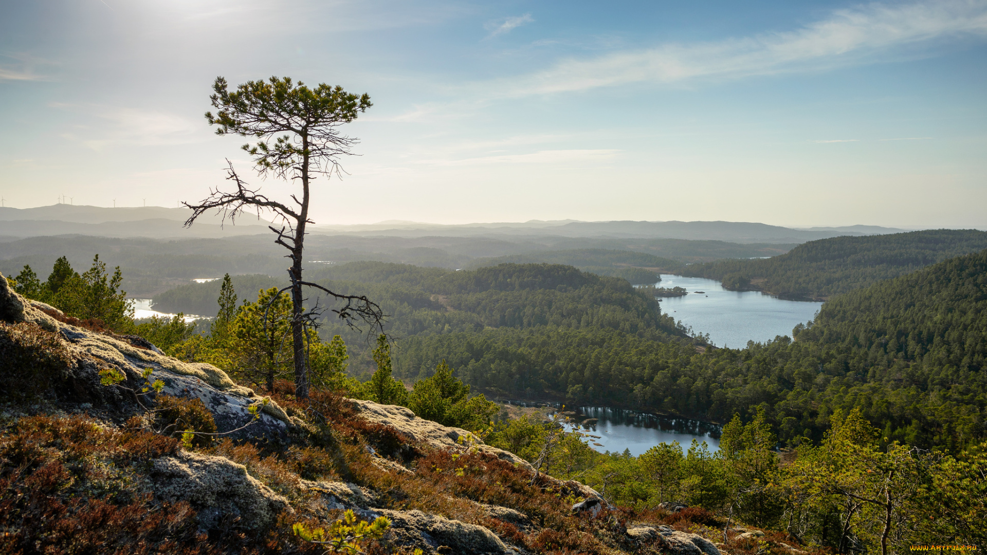 hitra, norway, природа, пейзажи, хитра, норвегия, леса, озёра, дерево, склон, панорама