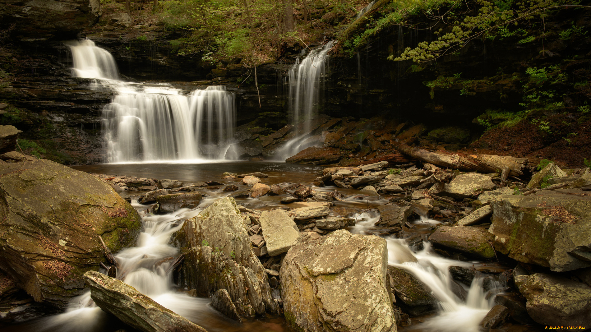 ricketts, falls, glen, state, park, природа, водопады, rb, pennsylvania, река, лес, камни