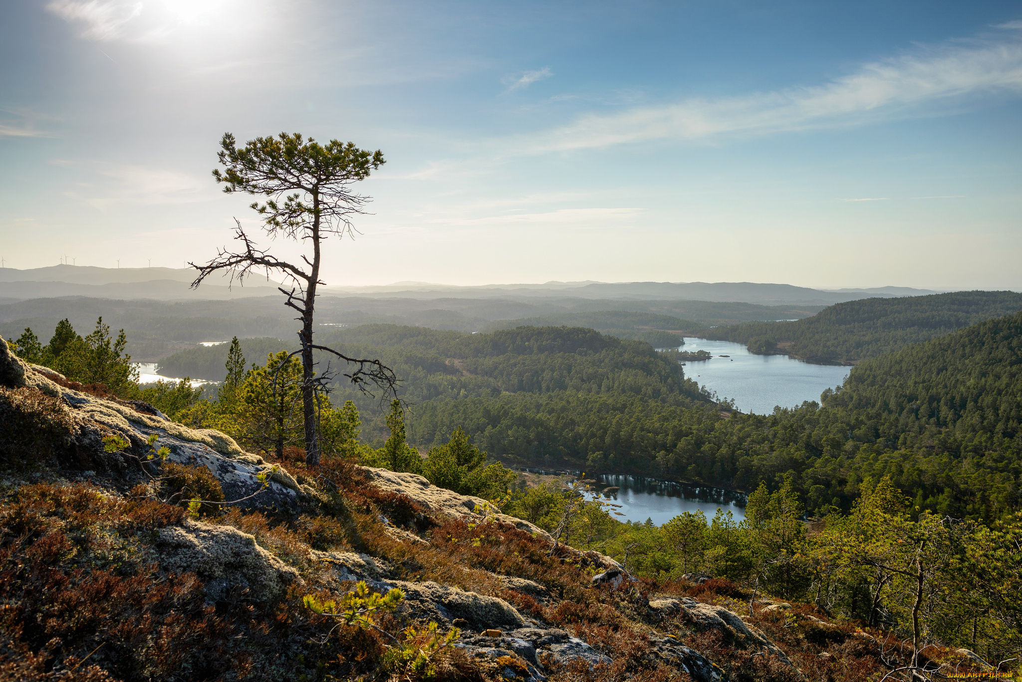 hitra, norway, природа, пейзажи, хитра, норвегия, леса, озёра, дерево, склон, панорама