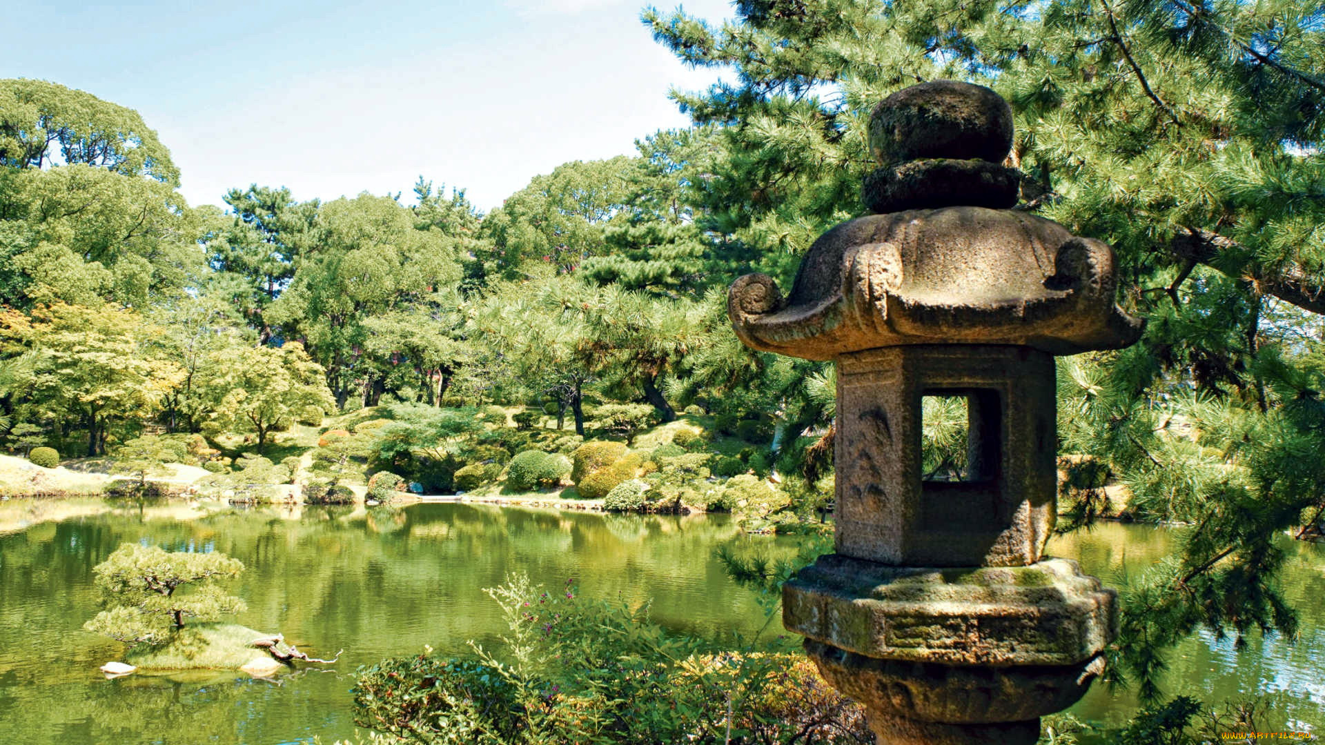 природа, парк, водоем, сад, японский