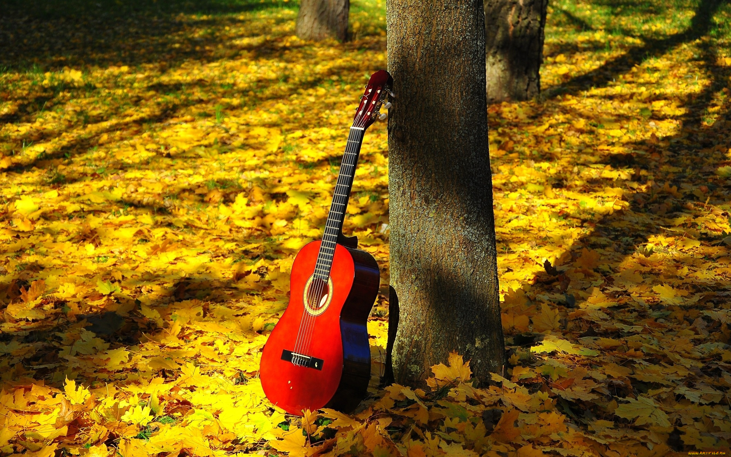 музыка, -музыкальные, инструменты, дерево, листва, гитара