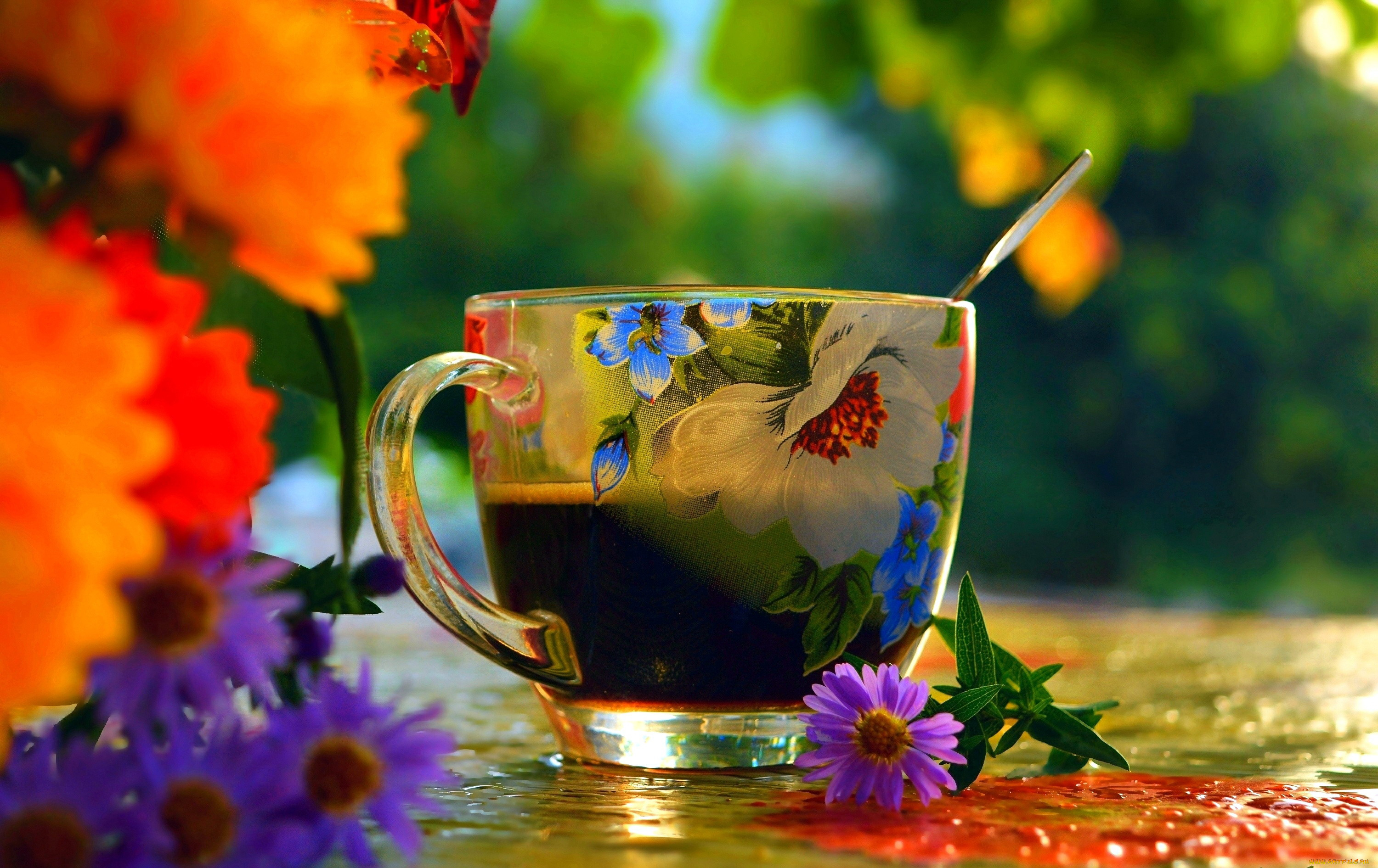 еда, кофе, , кофейные, зёрна, чашка, цветы