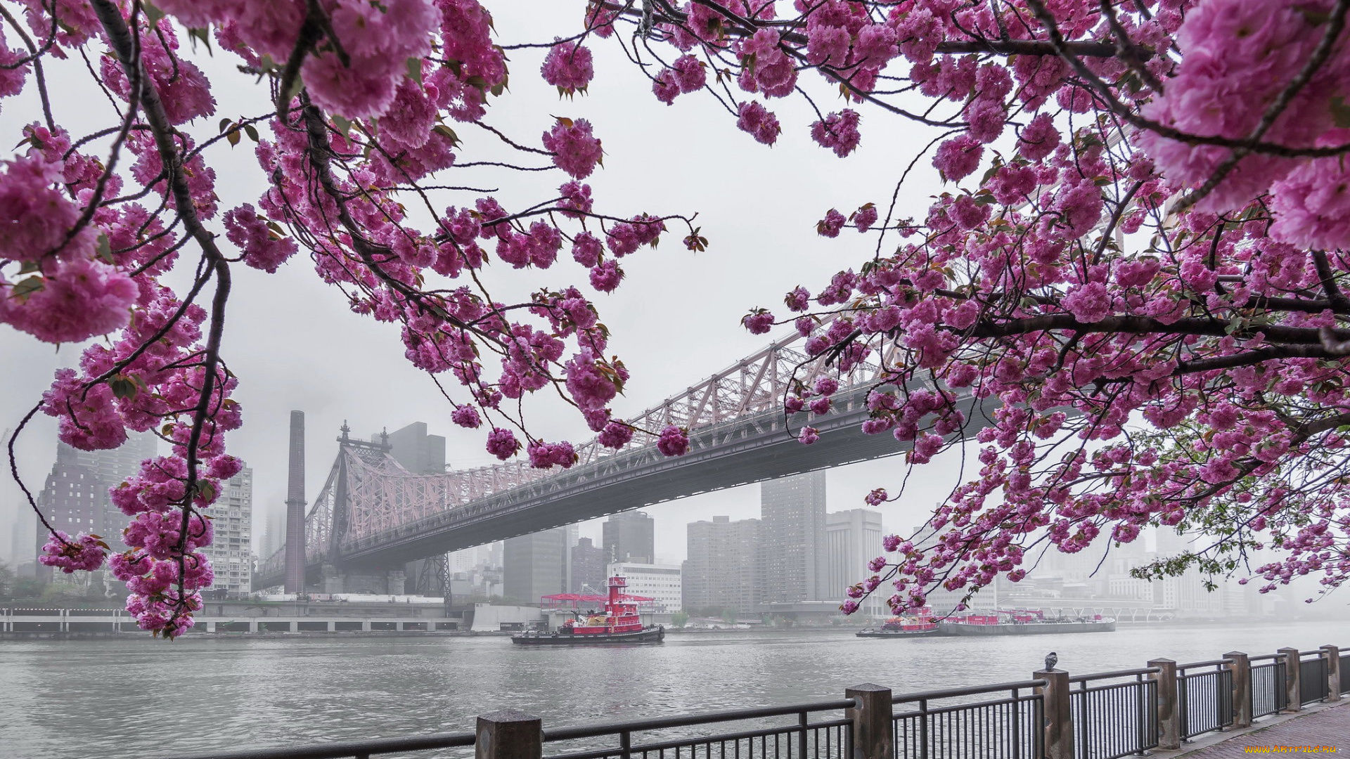 города, нью-йорк, , сша, queensboro, bridge, manhattan, east, river