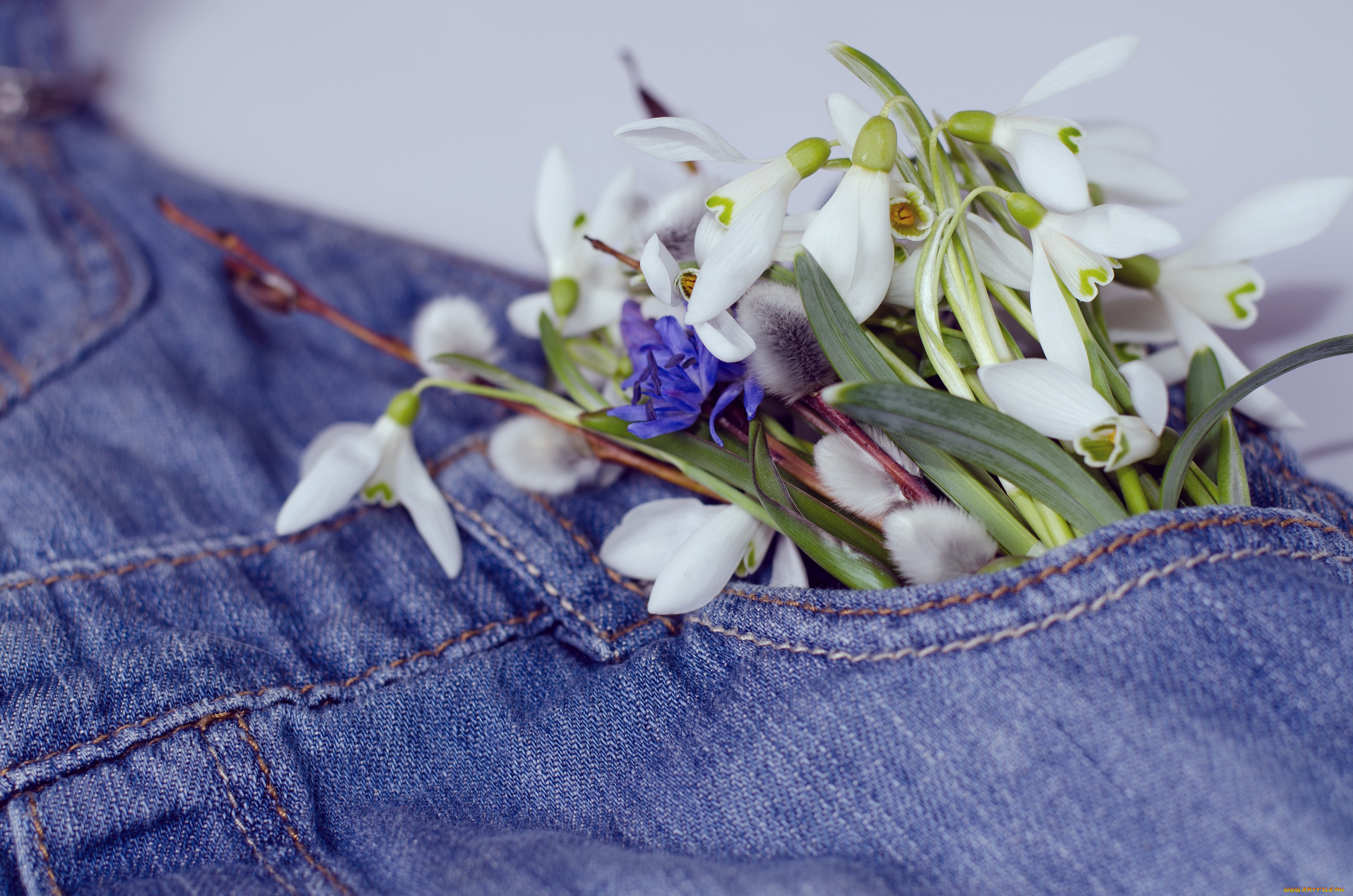 цветы, разные, вместе, джинсы, весна