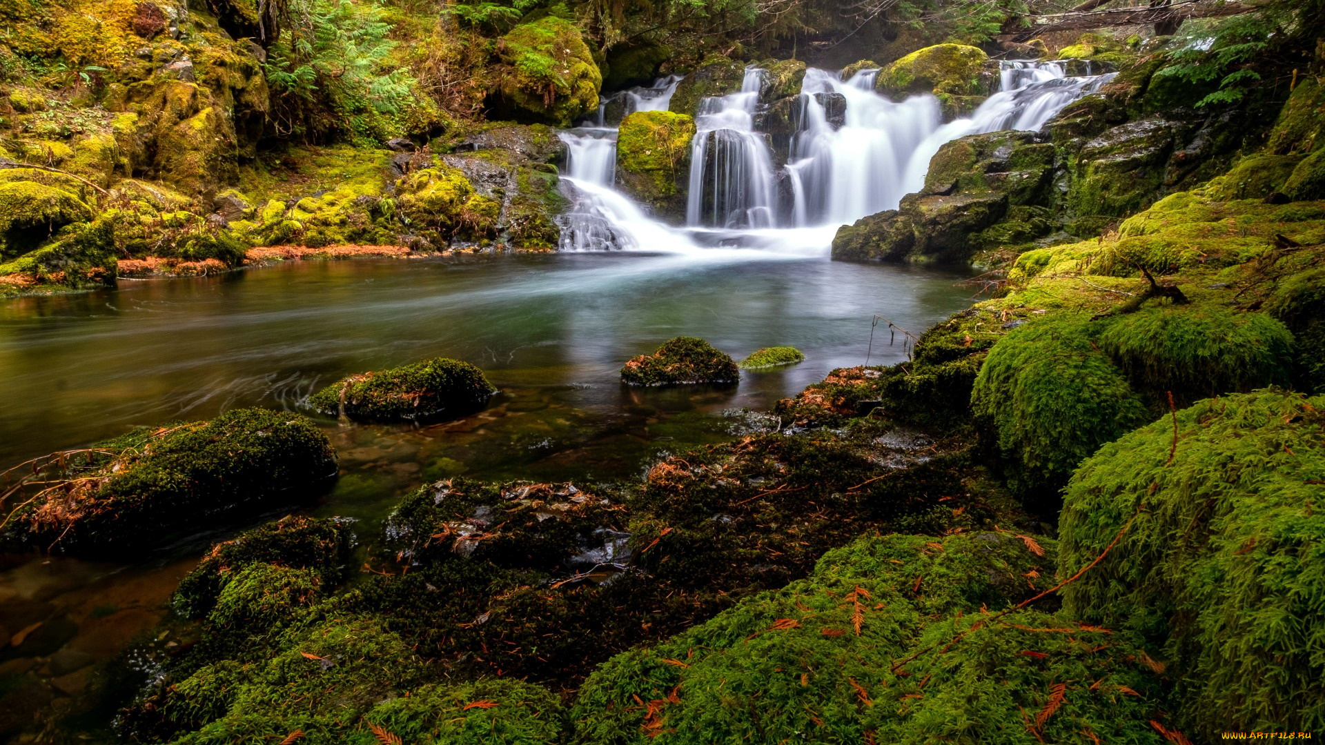 curly, creek, skamania, county, washington, природа, водопады, curly, creek, skamania, county