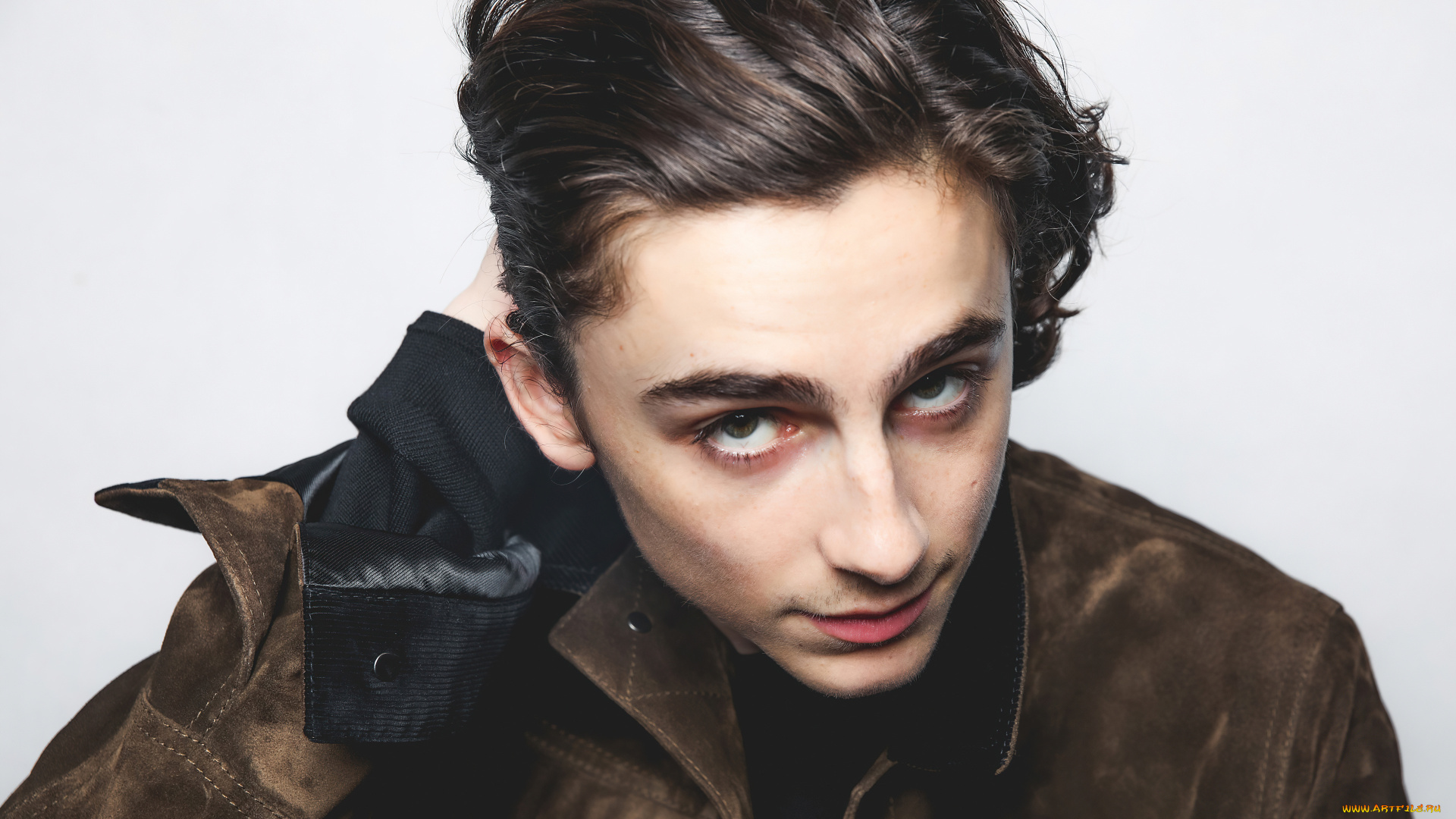 мужчины, timothee, chalamet, тимоти, шаламе, актeр, лауреат, многочисленныe, награды, номинация, на, оскар, три, bafta, два, золотых, глобуса, пять, премия, американской, гильдии, киноактеров, выбор, критиков