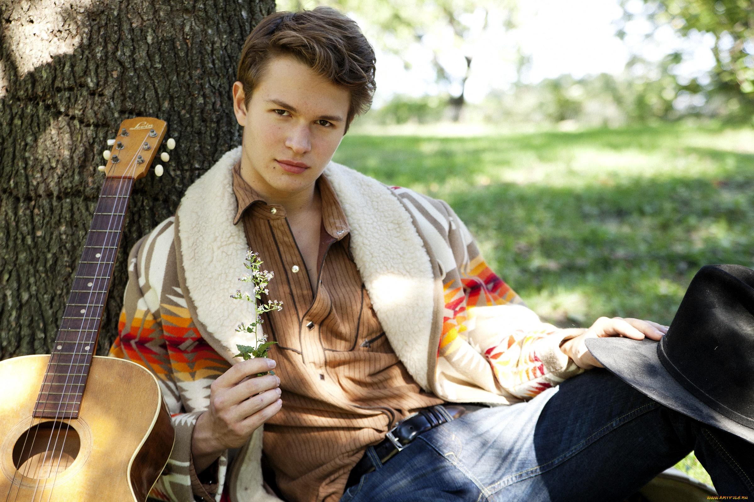 ansel, elgort, мужчины, актер, кофта, шляпа, гитара