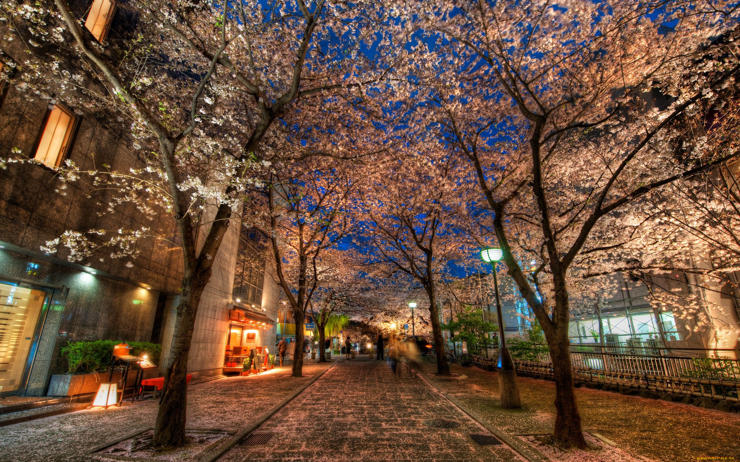 kyoto, japan, города, огни, ночного