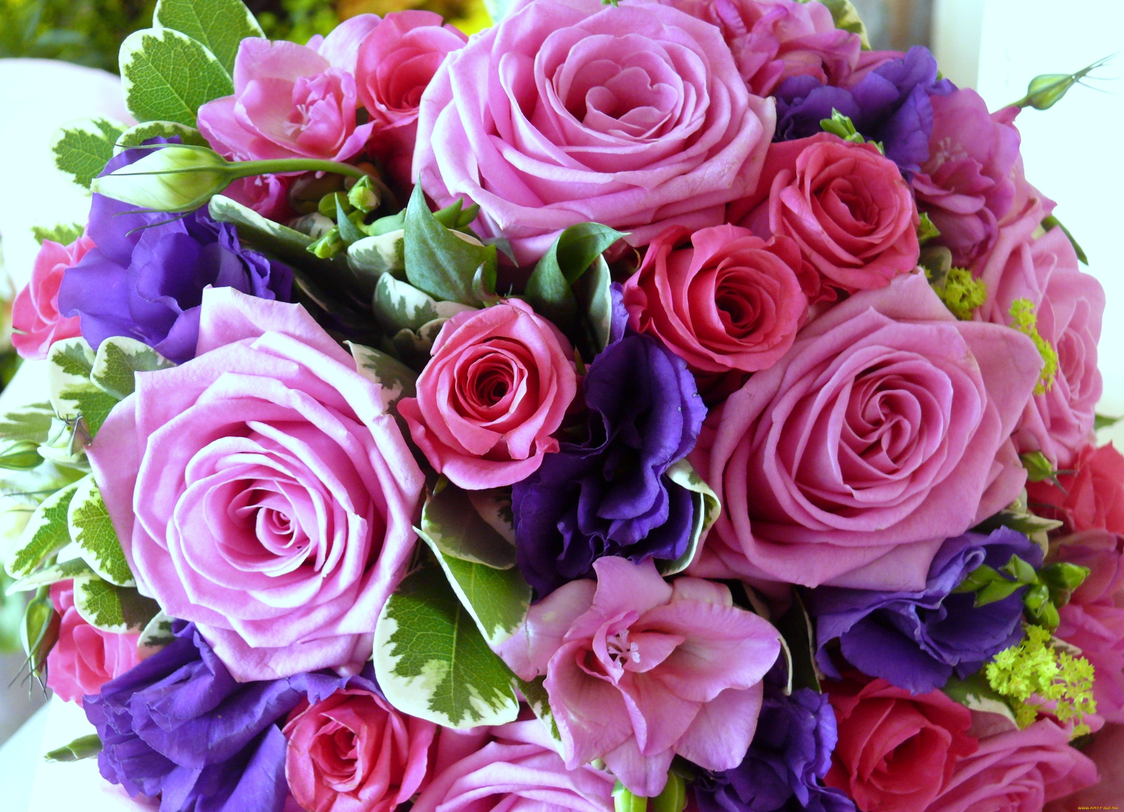 цветы, букеты, композиции, розовый, анемоны, розы
