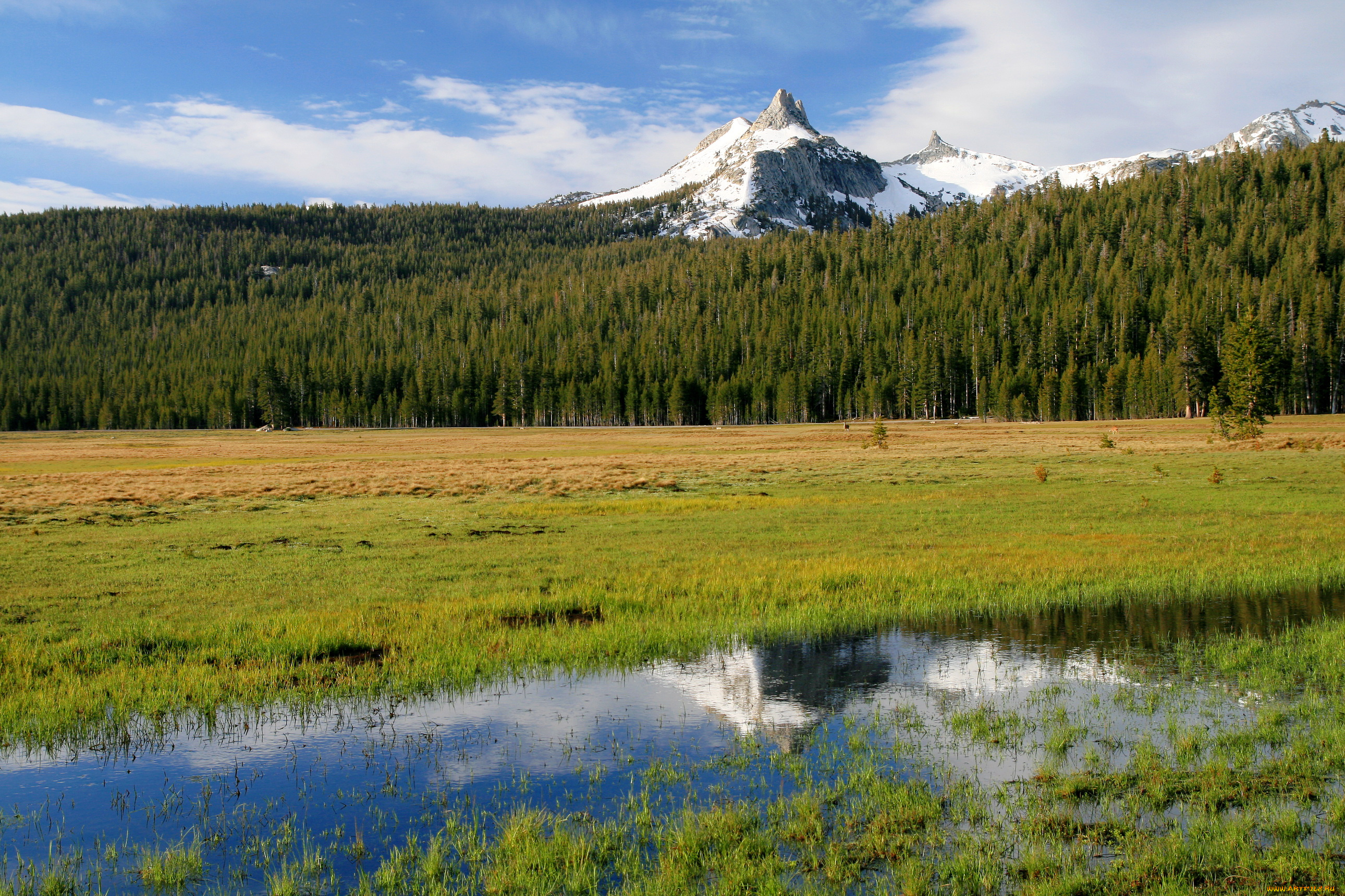 природа, реки, озера, cathedral, peak, yosemite, usa, california