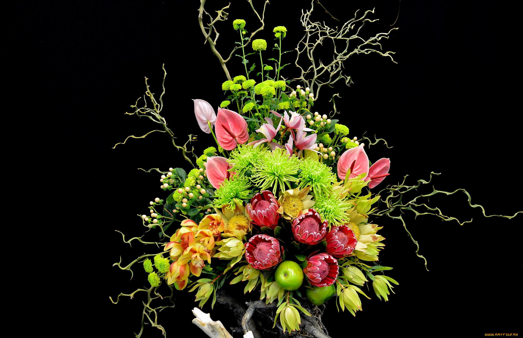 цветы, букеты, композиции, протея, орхидея, антуриум, хризантема, экзотика