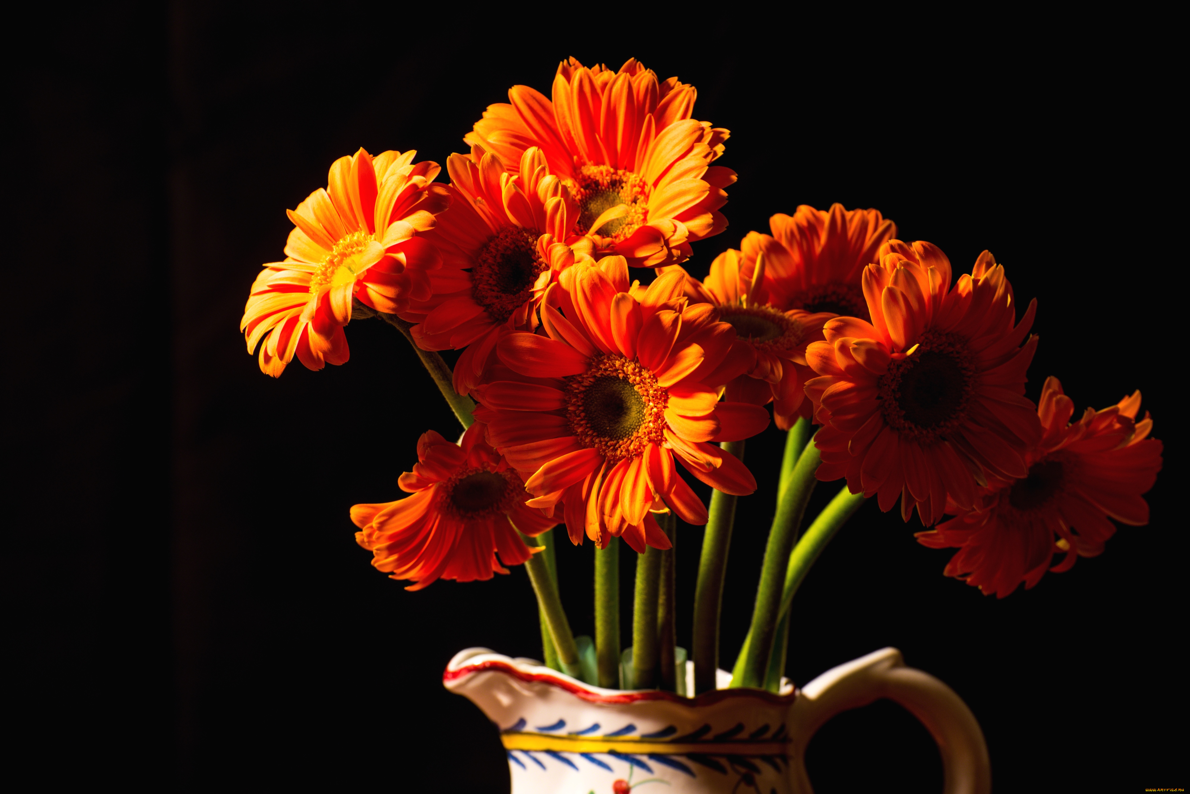 цветы, герберы, букет, оранжевый