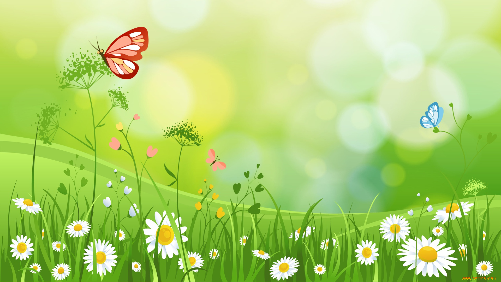 векторная, графика, цветы, , flowers, трава, лето, бабоЧка
