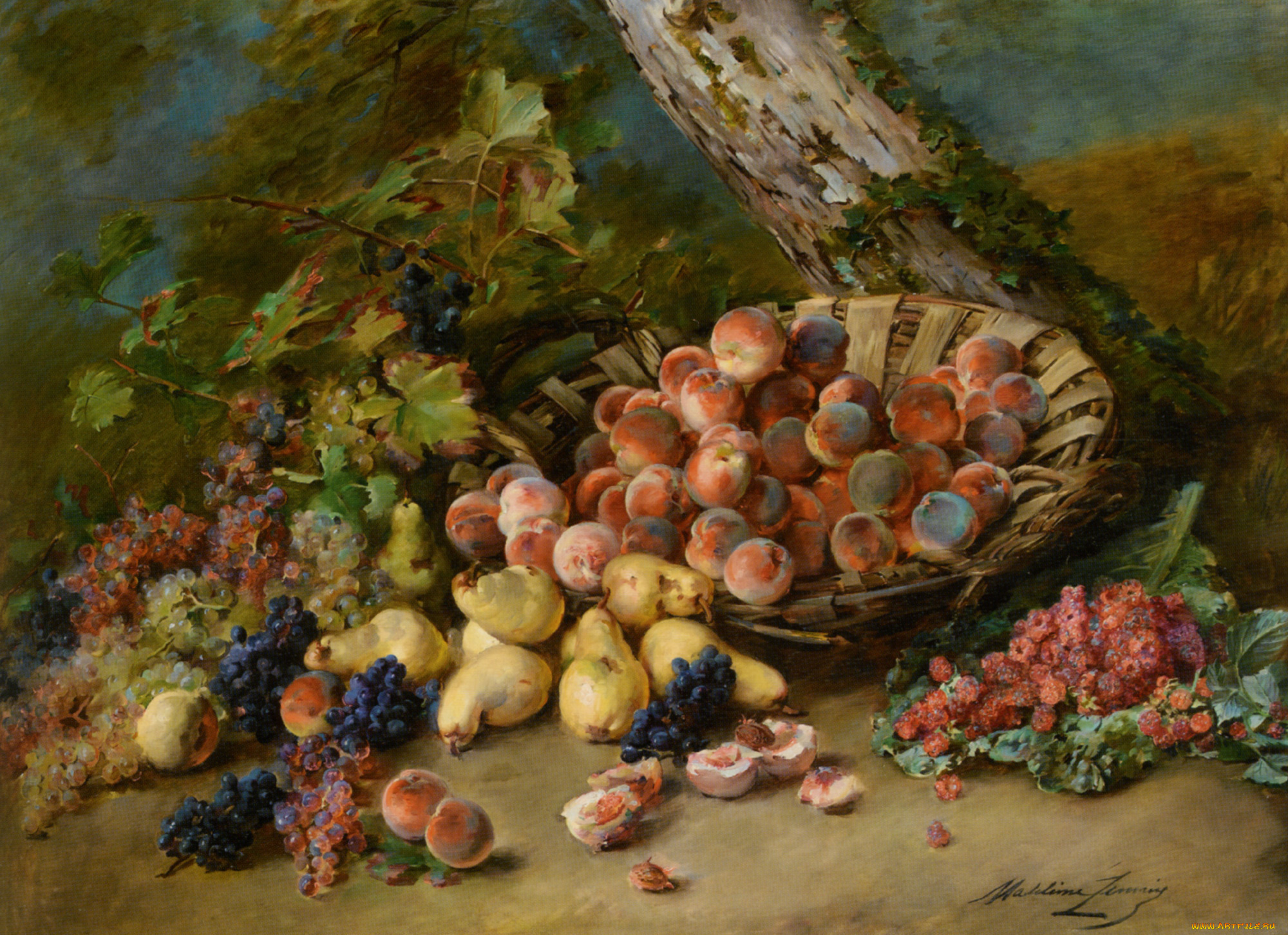 madeleine, lemaire, рисованные, персики, груши, виноград