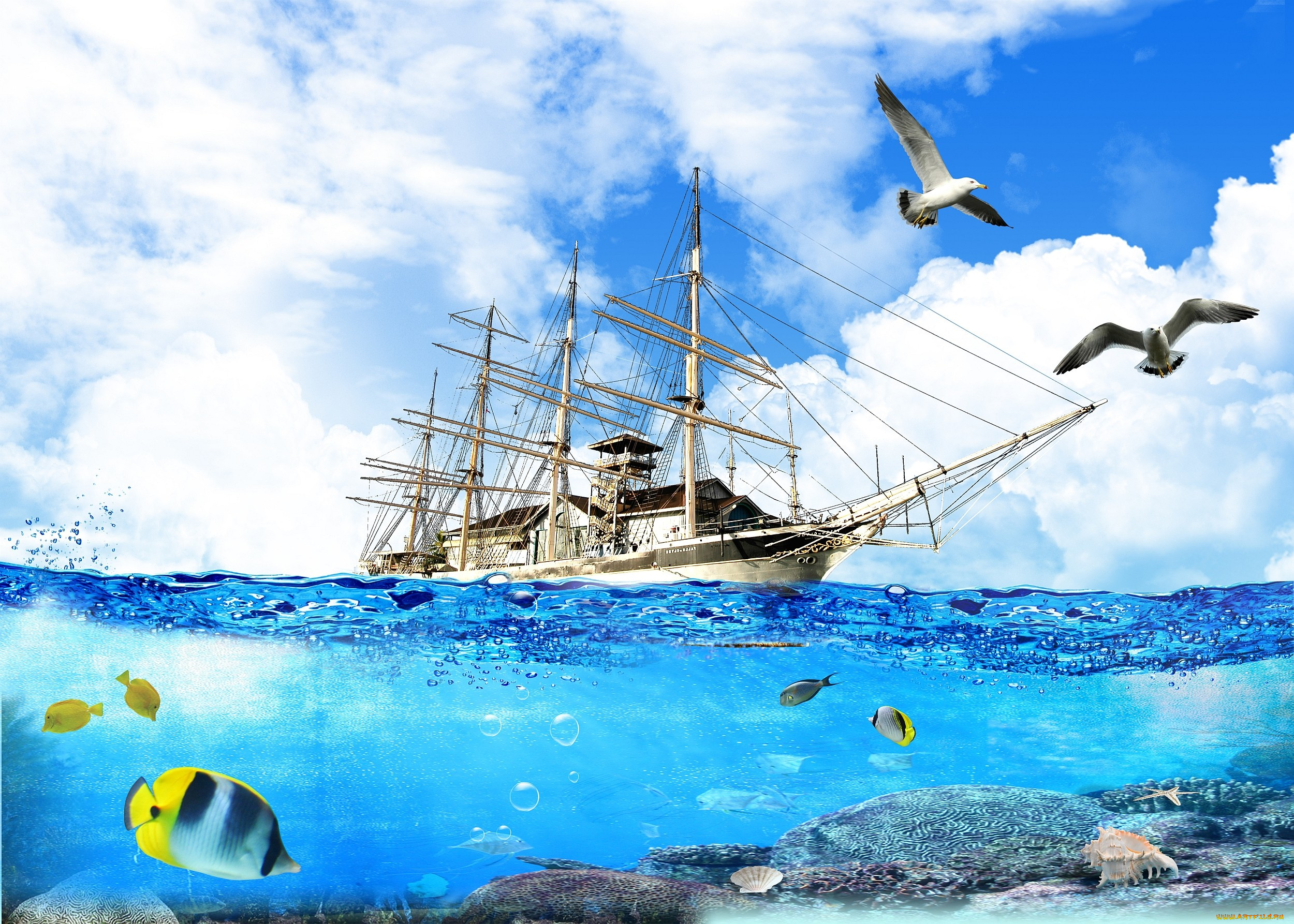 Примирительные открытка, картинки море чайки корабли