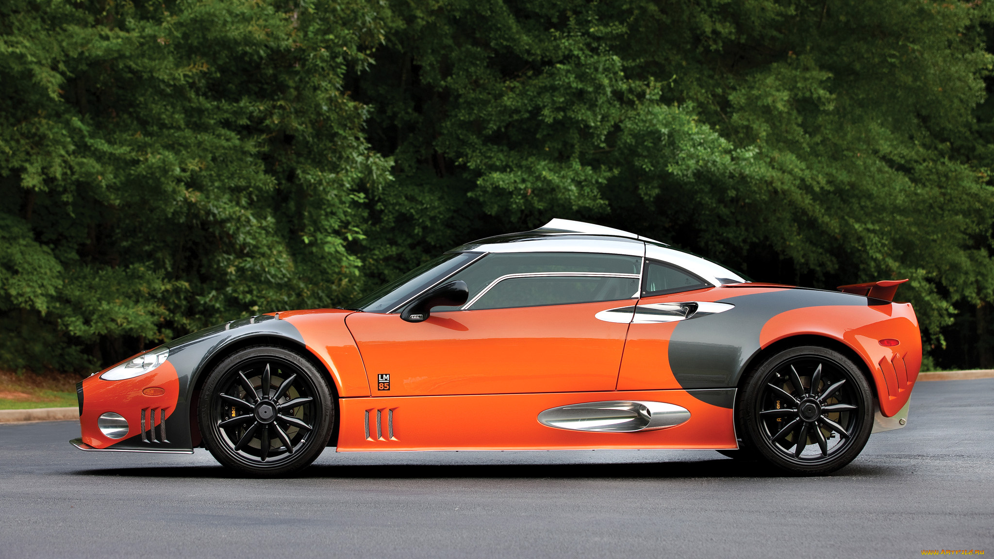 spyker, автомобили, нидерланды, спортивные, cars, n, v