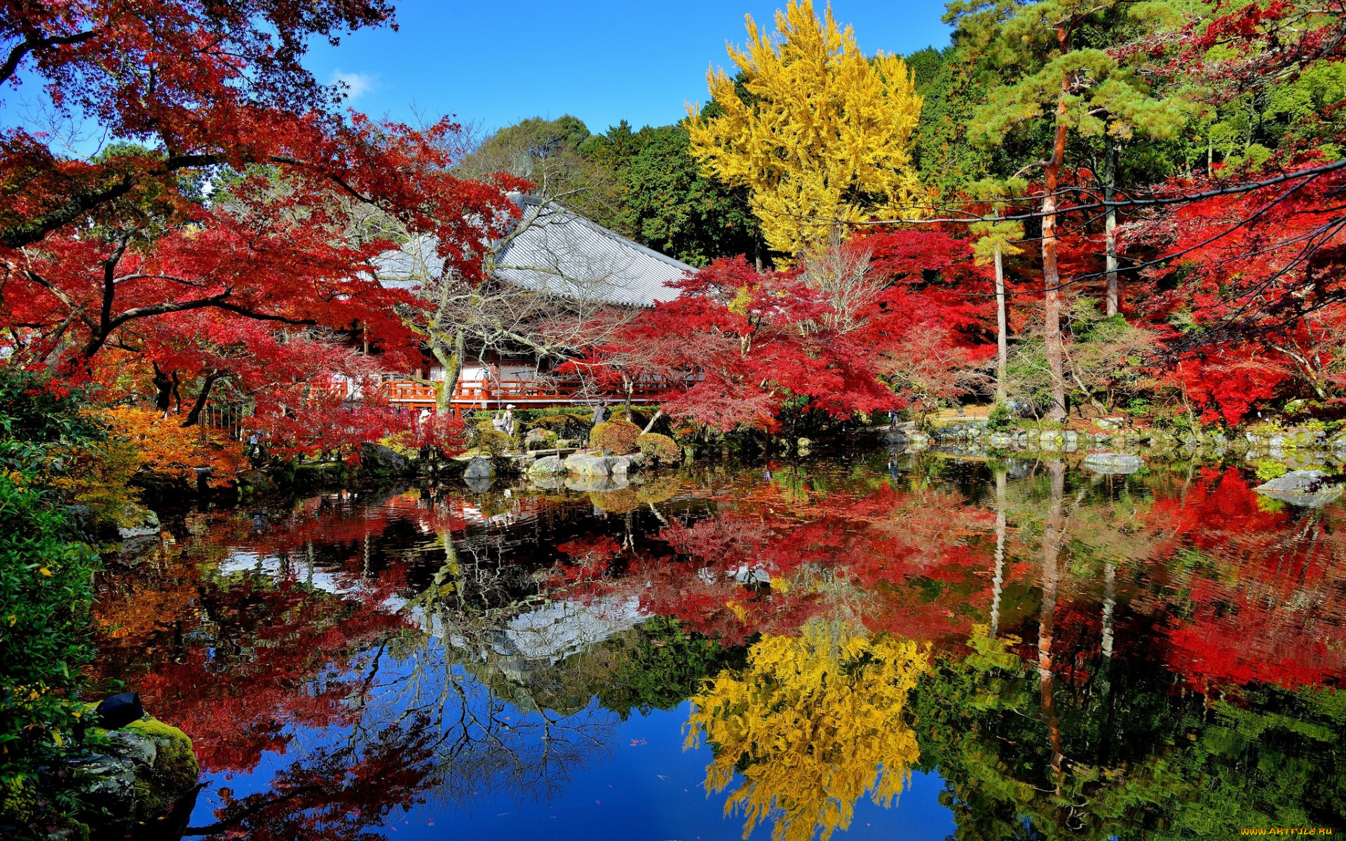 природа, парк, осень, багрянец, листья, отражение, деревья, пруд, дом, сад, Япония