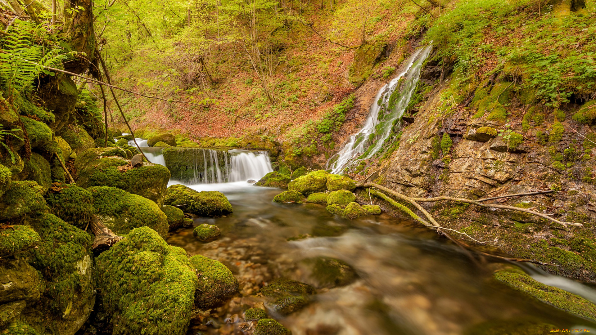 природа, водопады, мох, камни, поток, осень, лес