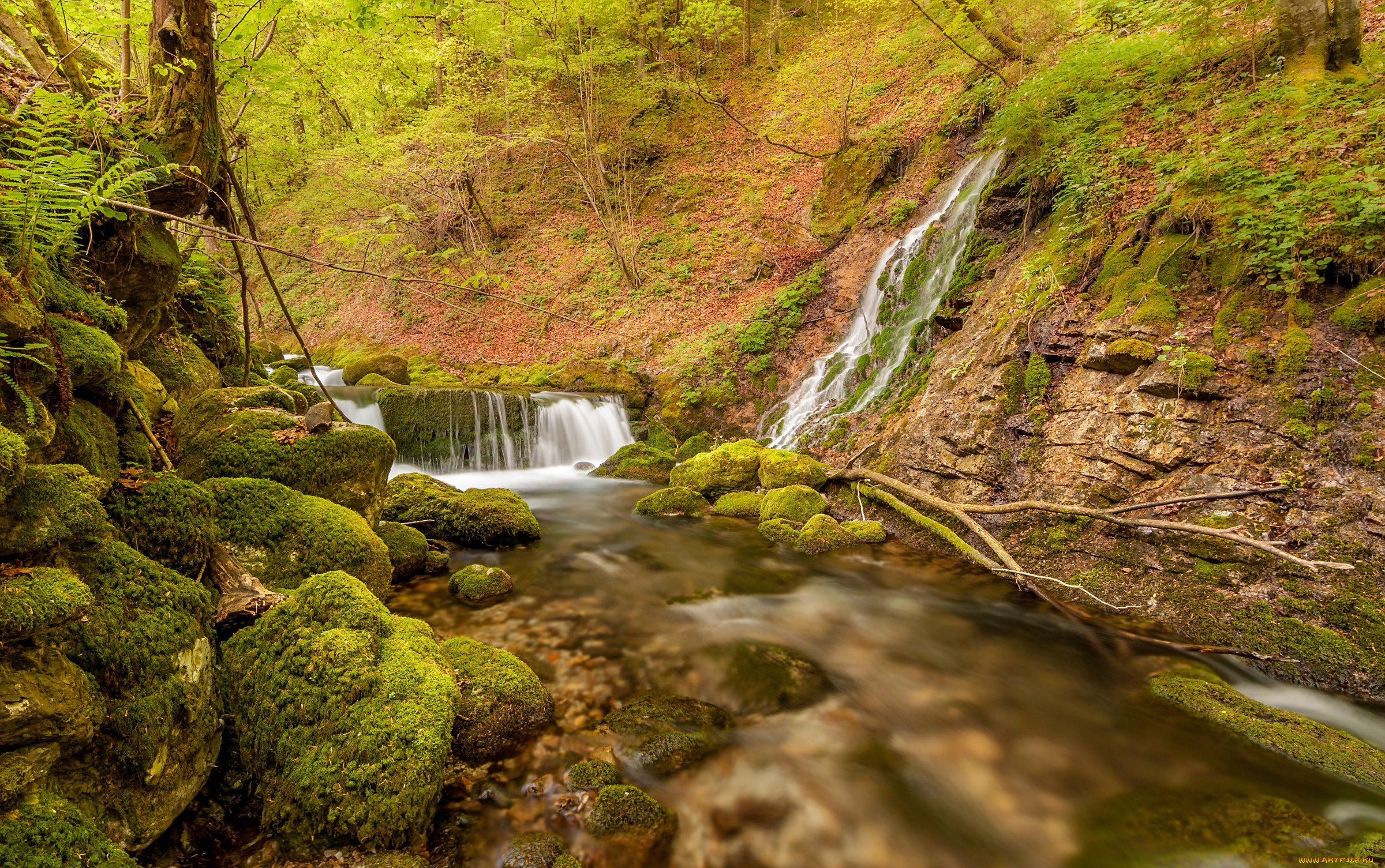 природа, водопады, мох, камни, поток, осень, лес