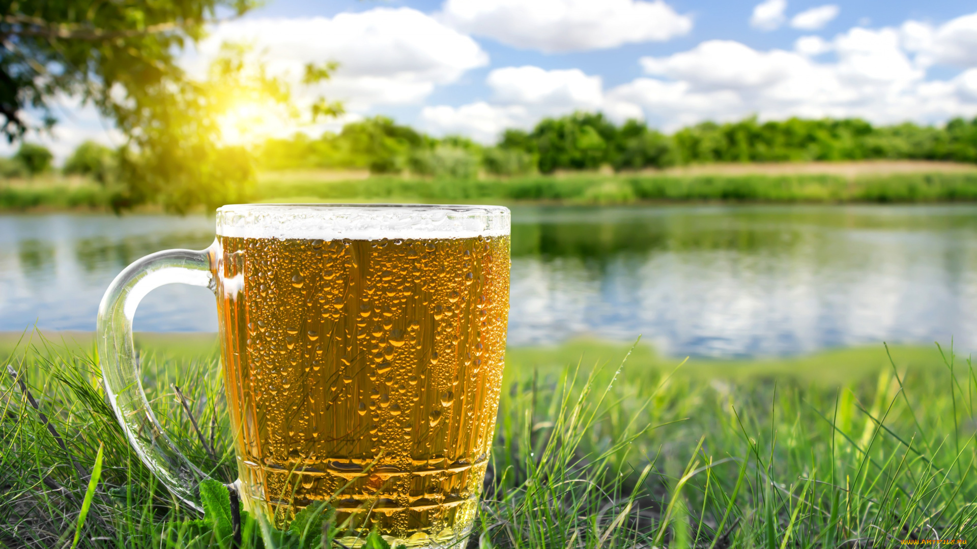 еда, напитки, , пиво, лето, зелень, пиво, трава, солнце, речка, деревья, кружка