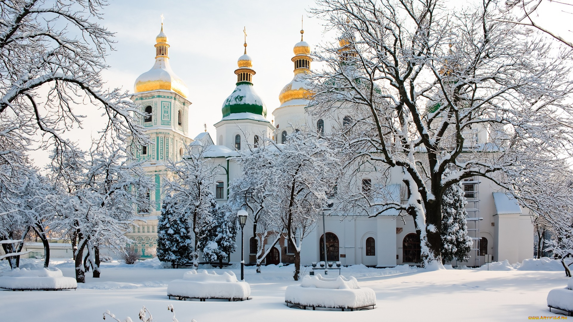 города, -, православные, церкви, , монастыри, снег, деревья, киев, украина, зима, софийский, собор