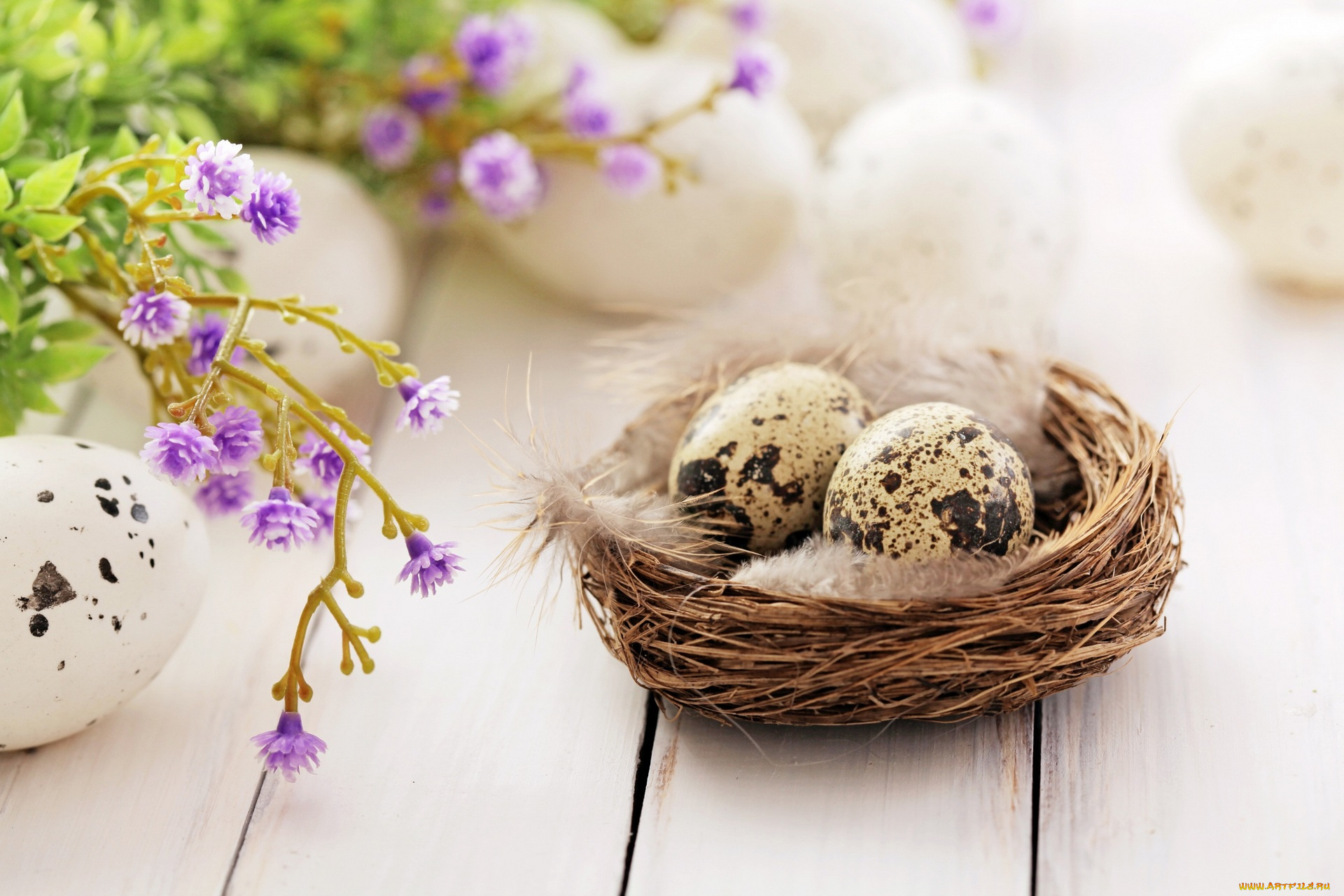 праздничные, пасха, яйцо, цветы, гнездо