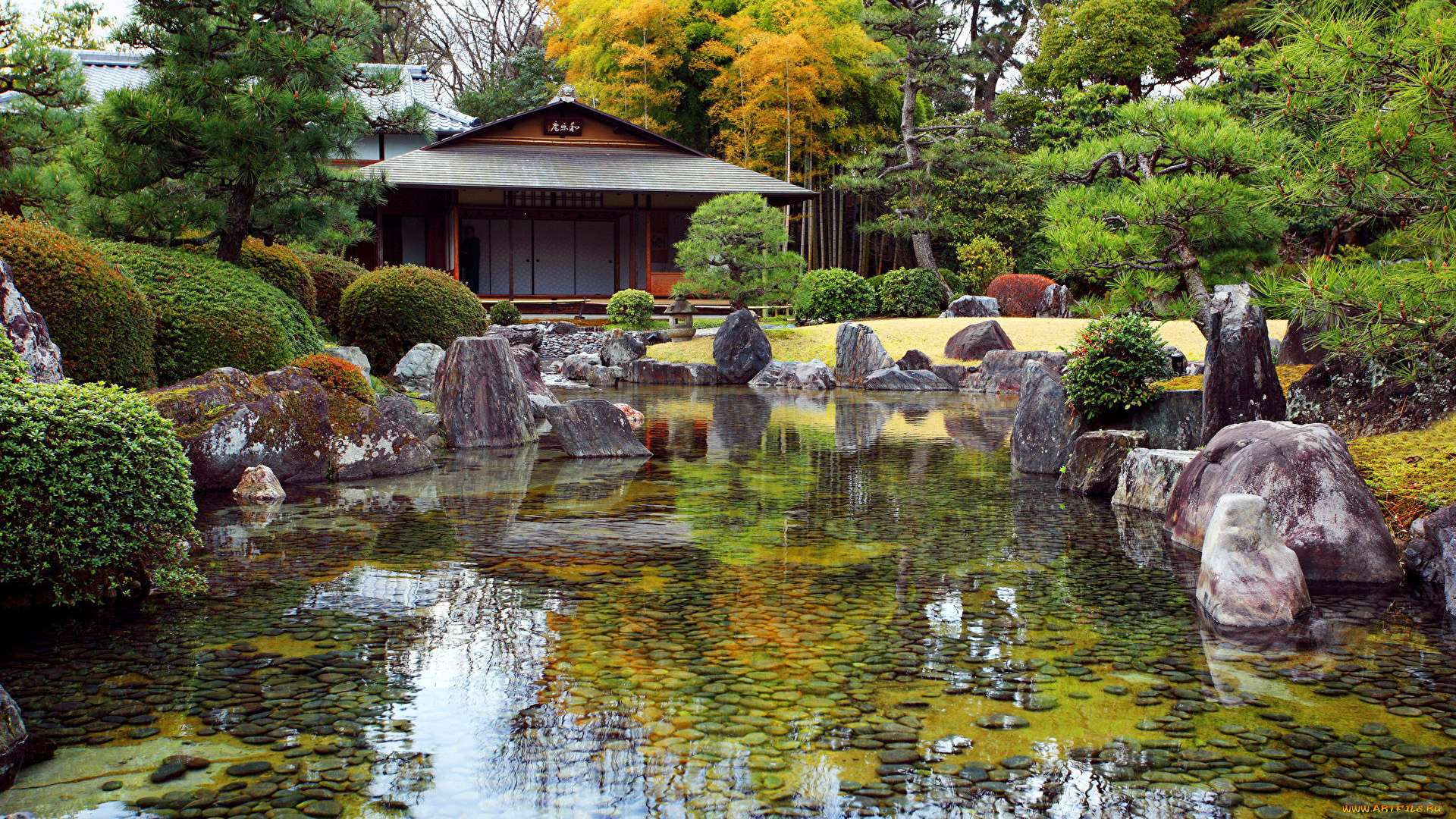 природа, парк, японский, сад