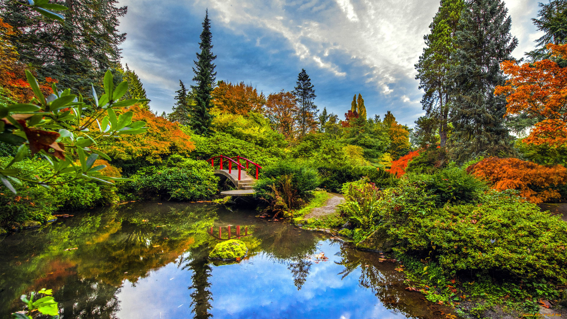 природа, парк, японский, садик, водоем, мостик