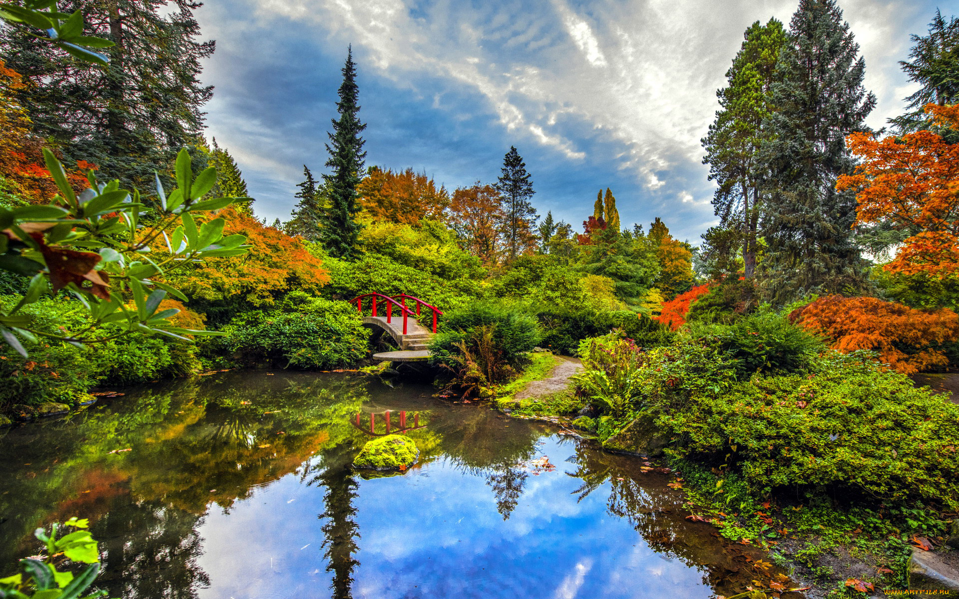 природа, парк, японский, садик, водоем, мостик
