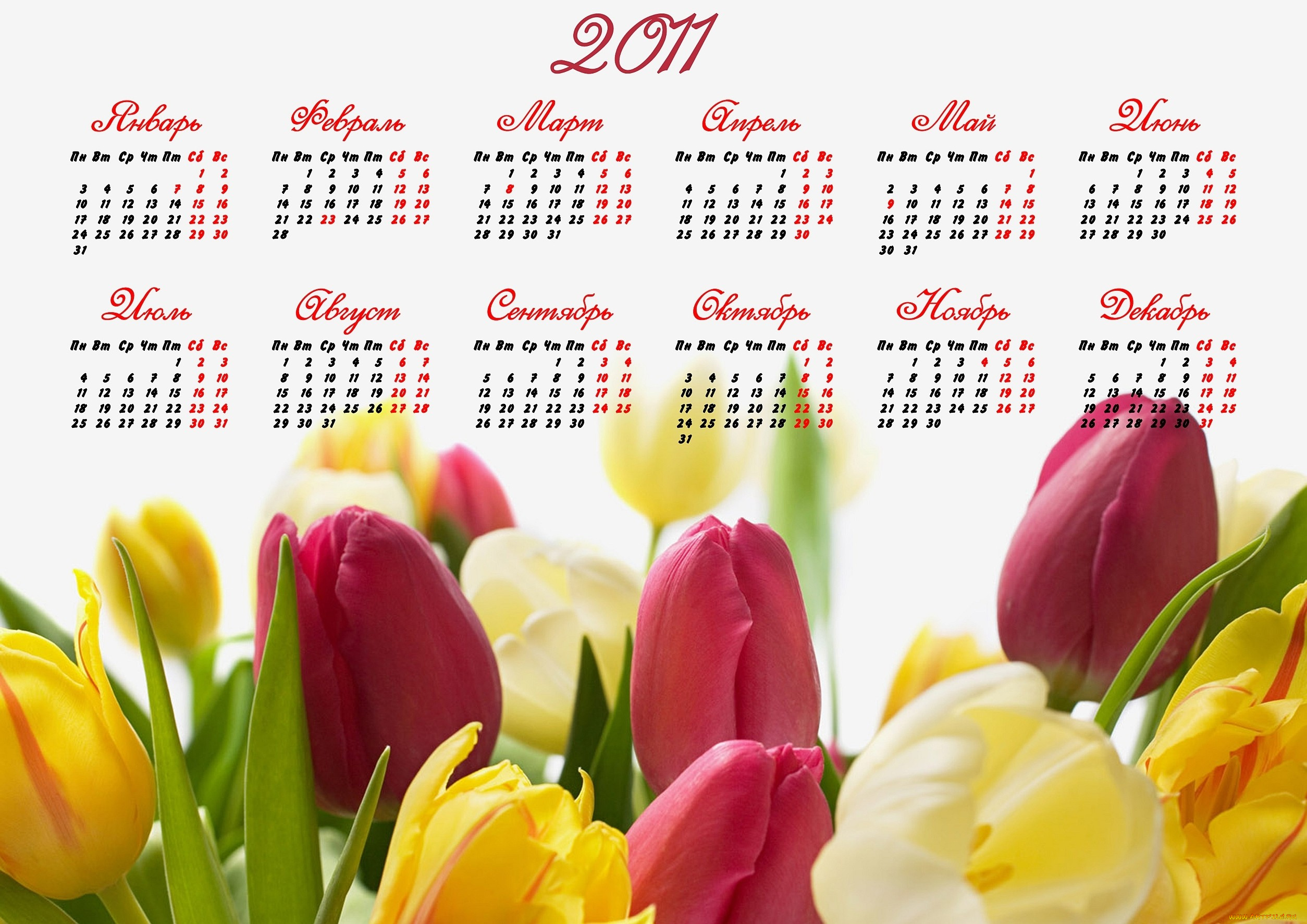 календари, цветы, красный, желтый, тюльпаны
