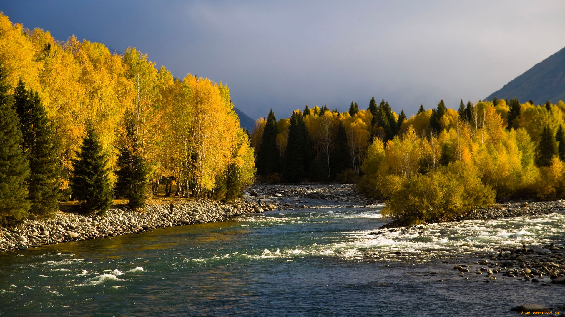 природа, реки, озера, лес, река, камни, осень