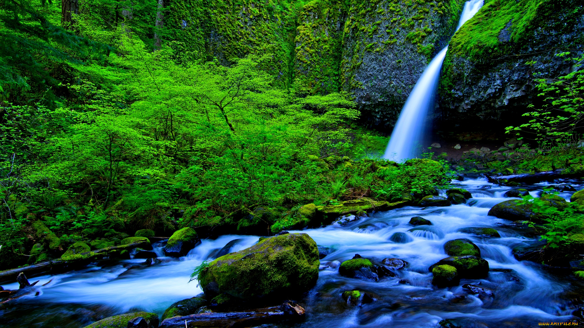 rainforest, falls, stream, природа, водопады, река, лес, водопад