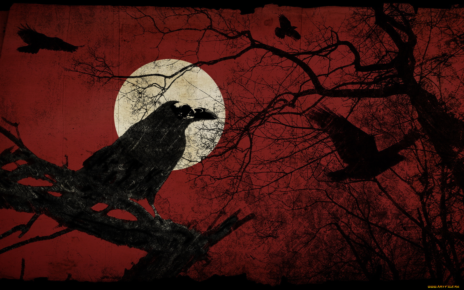 Night crows аутентификация. Мрачный ворон. Красный ворон. Ворон арт. Черные вороны на Красном фоне.