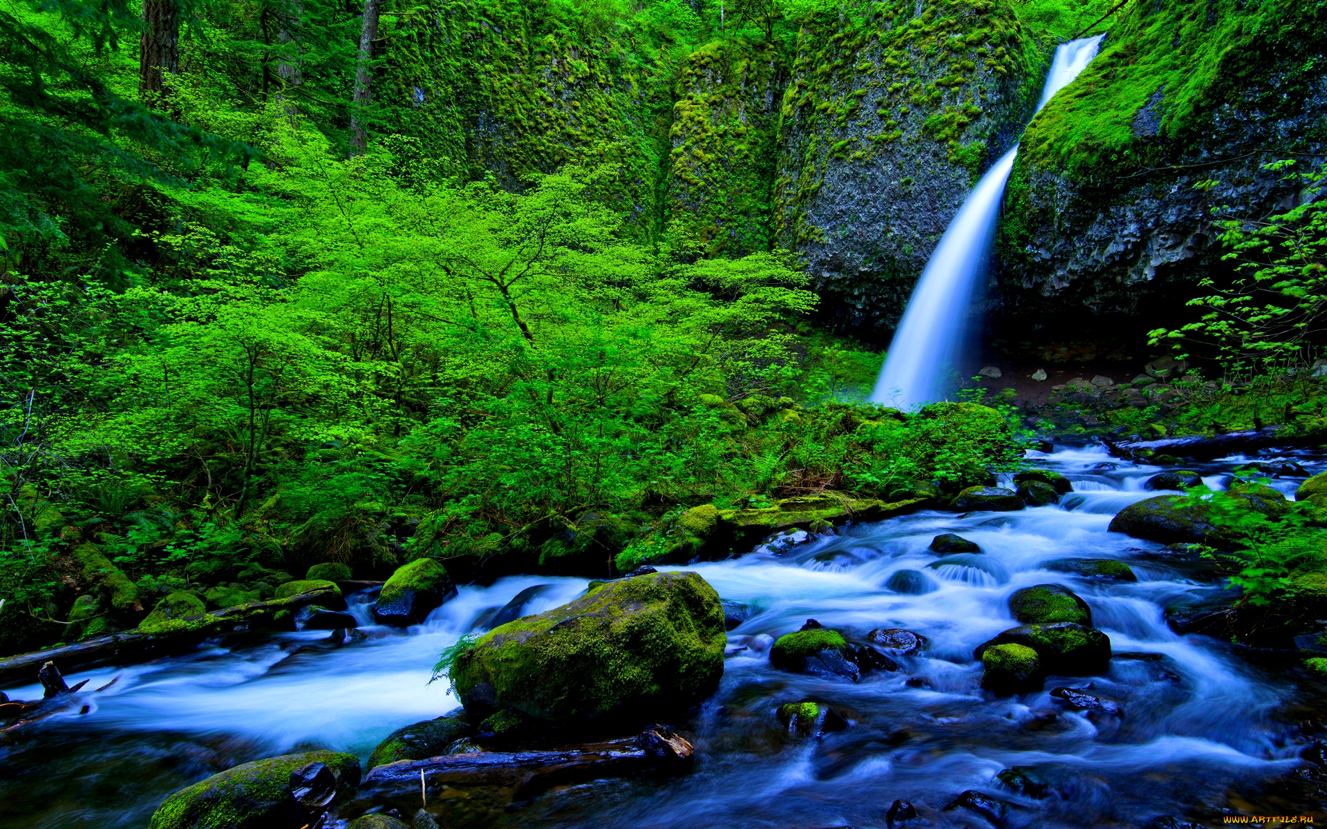 rainforest, falls, stream, природа, водопады, река, лес, водопад