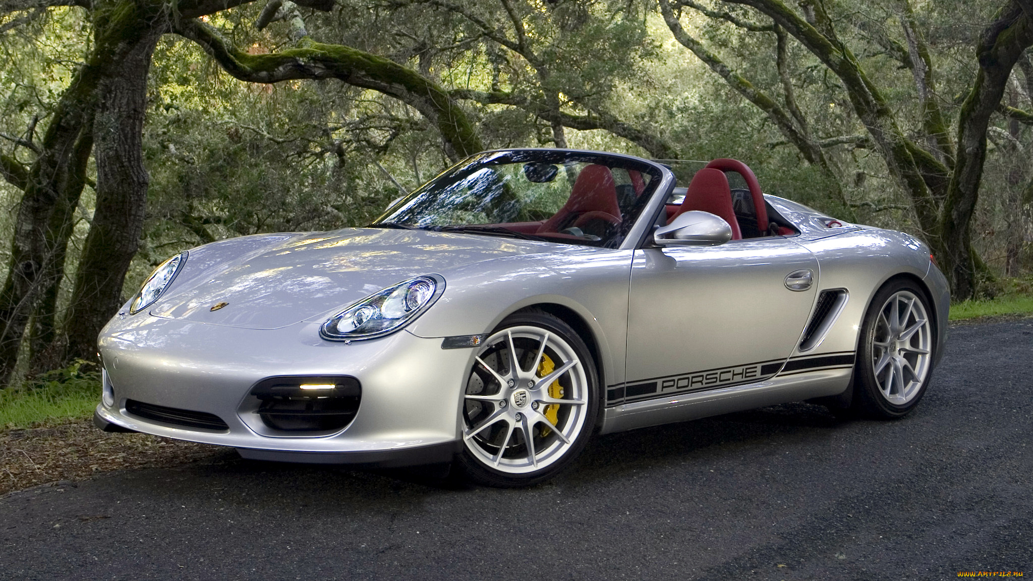 porsche, boxster, spyder, автомобили, dr, ing, h, c, f, ag, элитные, спортивные, германия