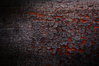 Картинка разное текстуры текстура кора лава