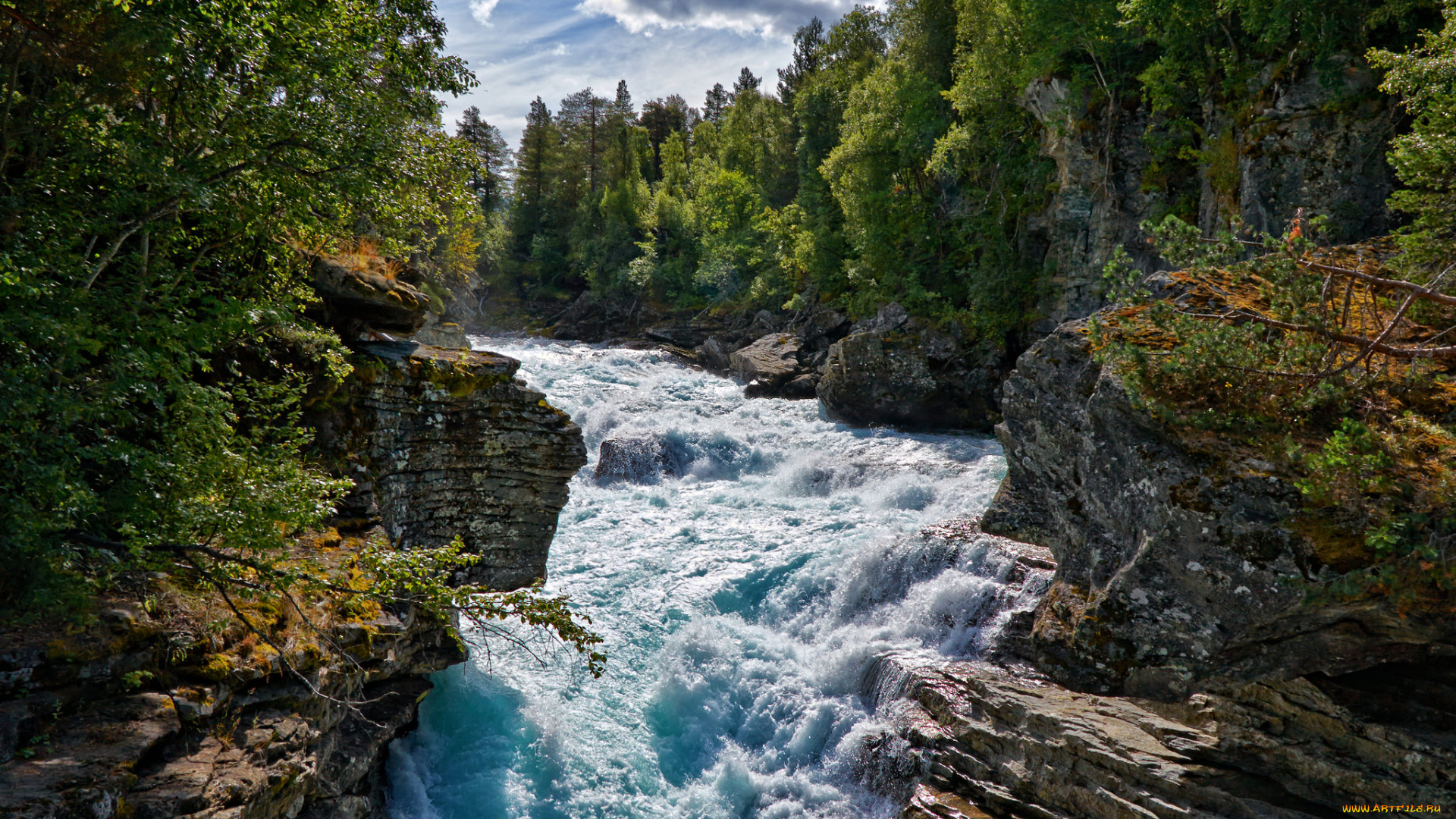 природа, реки, озера, река, лес