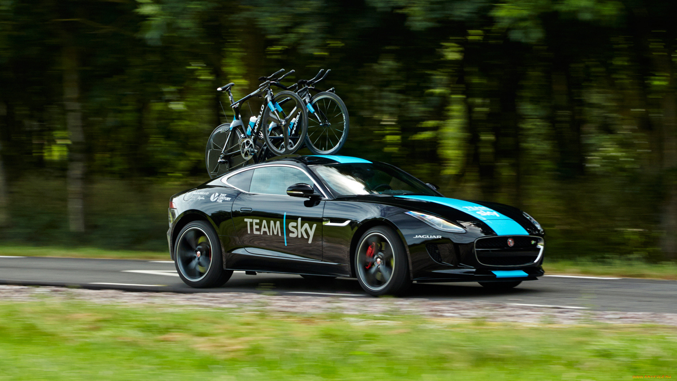 jaguar, f-type, team, sky, concept, 2014, автомобили, jaguar, concept, team, sky, f-type, 2014