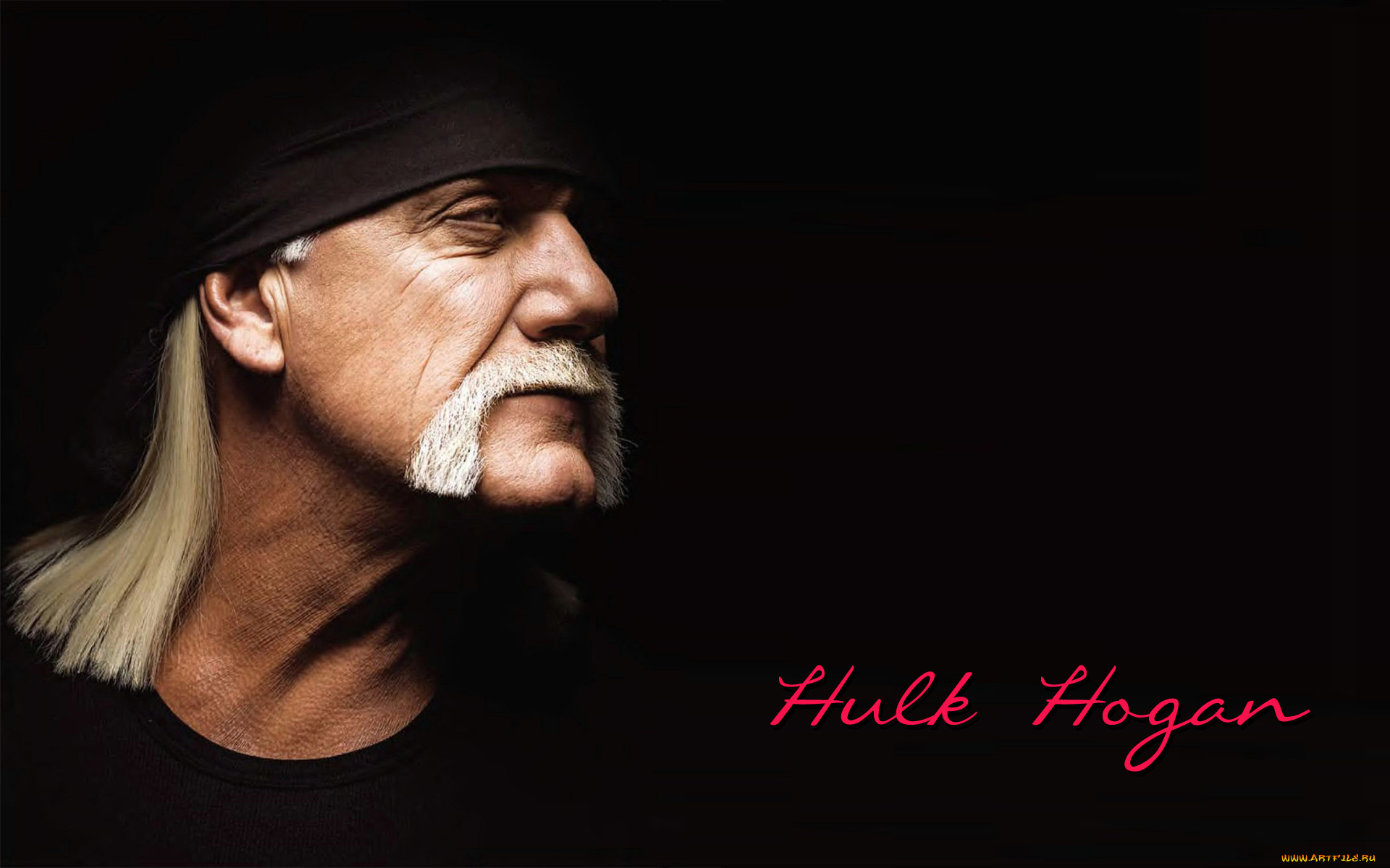 спорт, wwe, hogan, hulk, legend