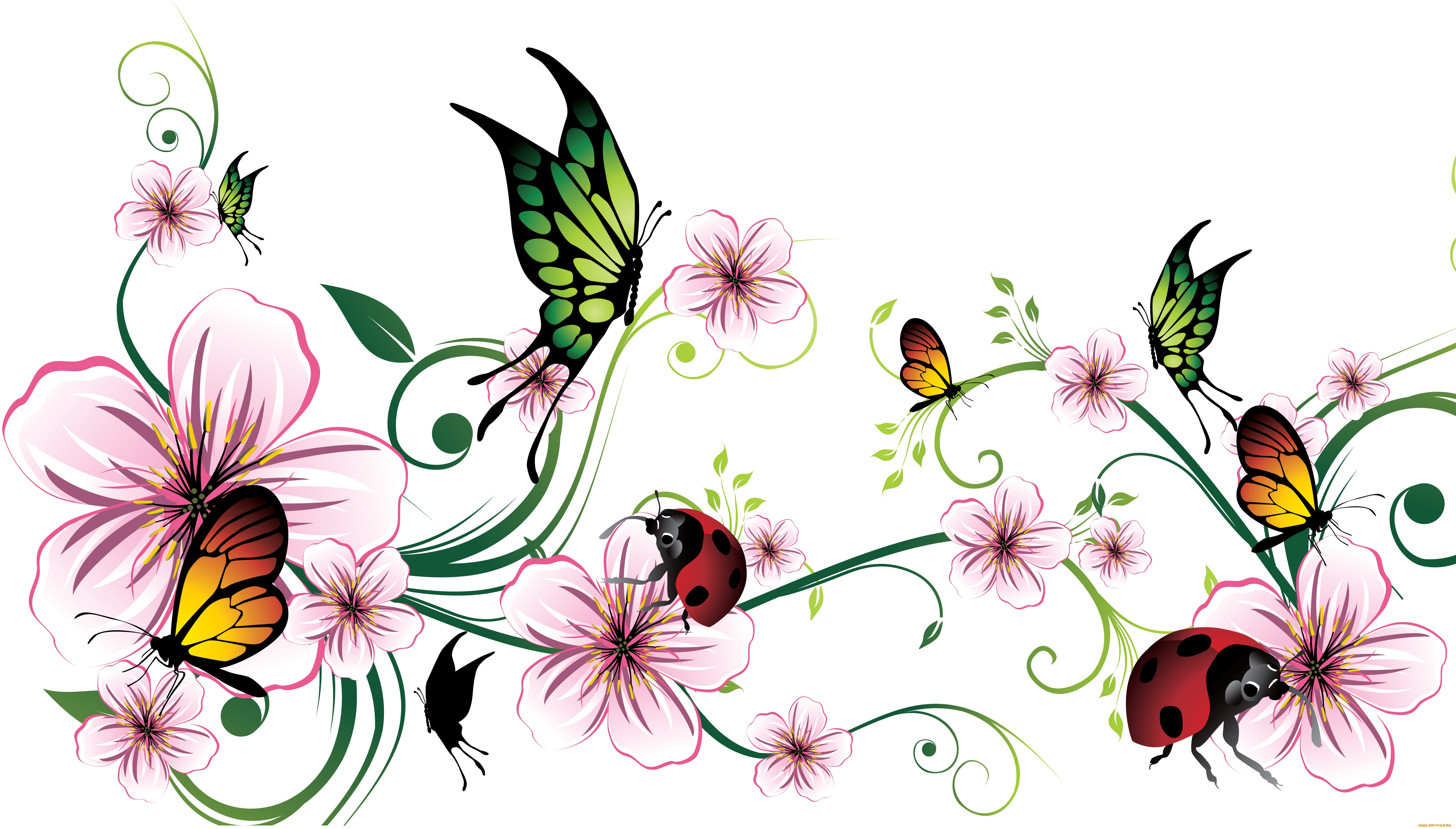векторная, графика, цветы, фон, бабочки